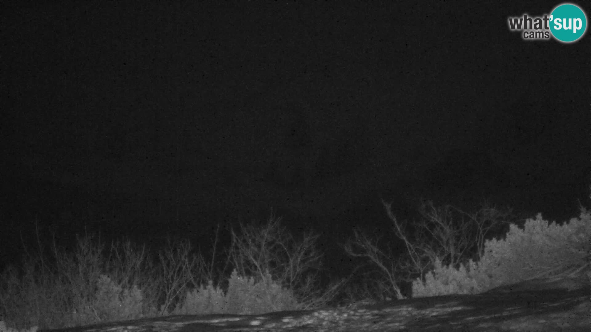 Velika Planina | Gradišče