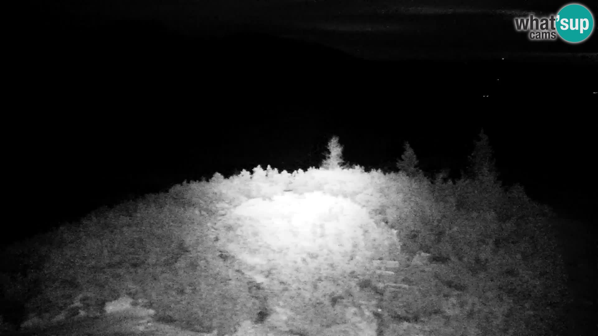 Velika Planina | Gradišče