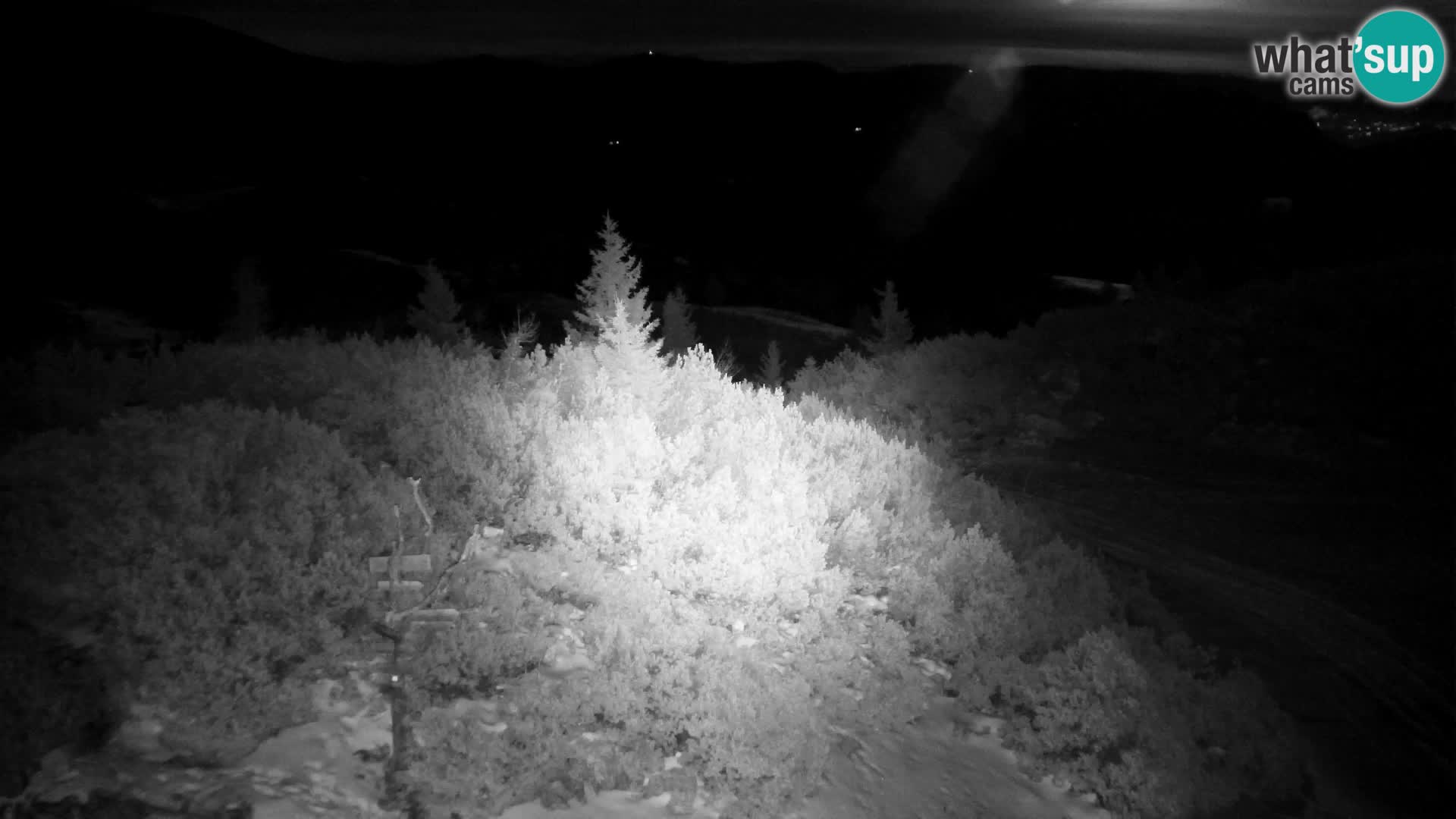 Velika Planina | Gradišče