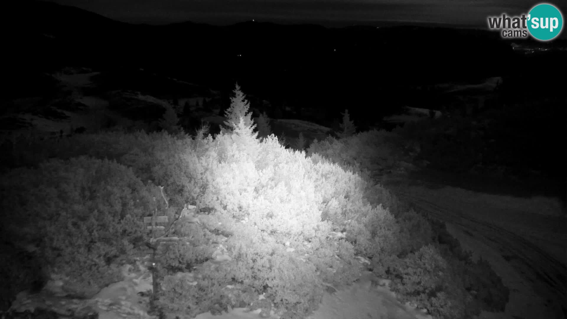 Velika Planina | Gradišče