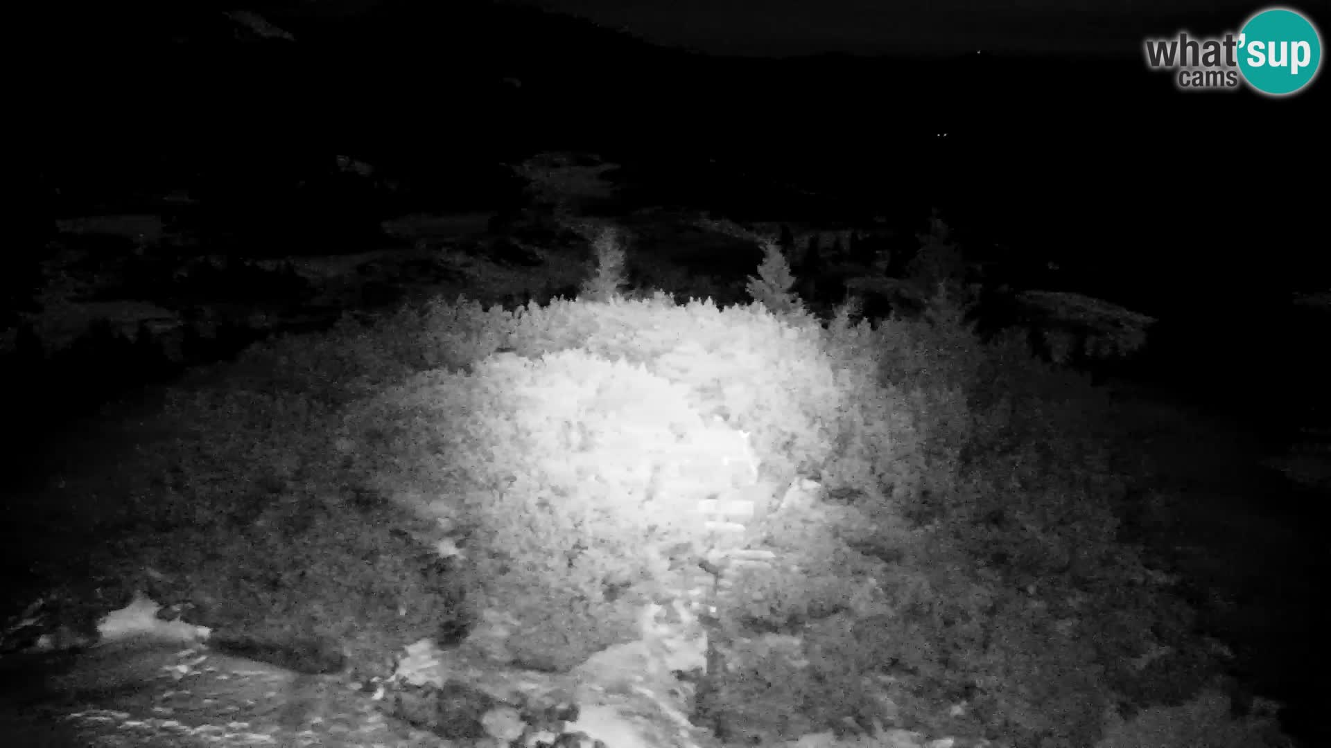 Velika Planina | Gradišče