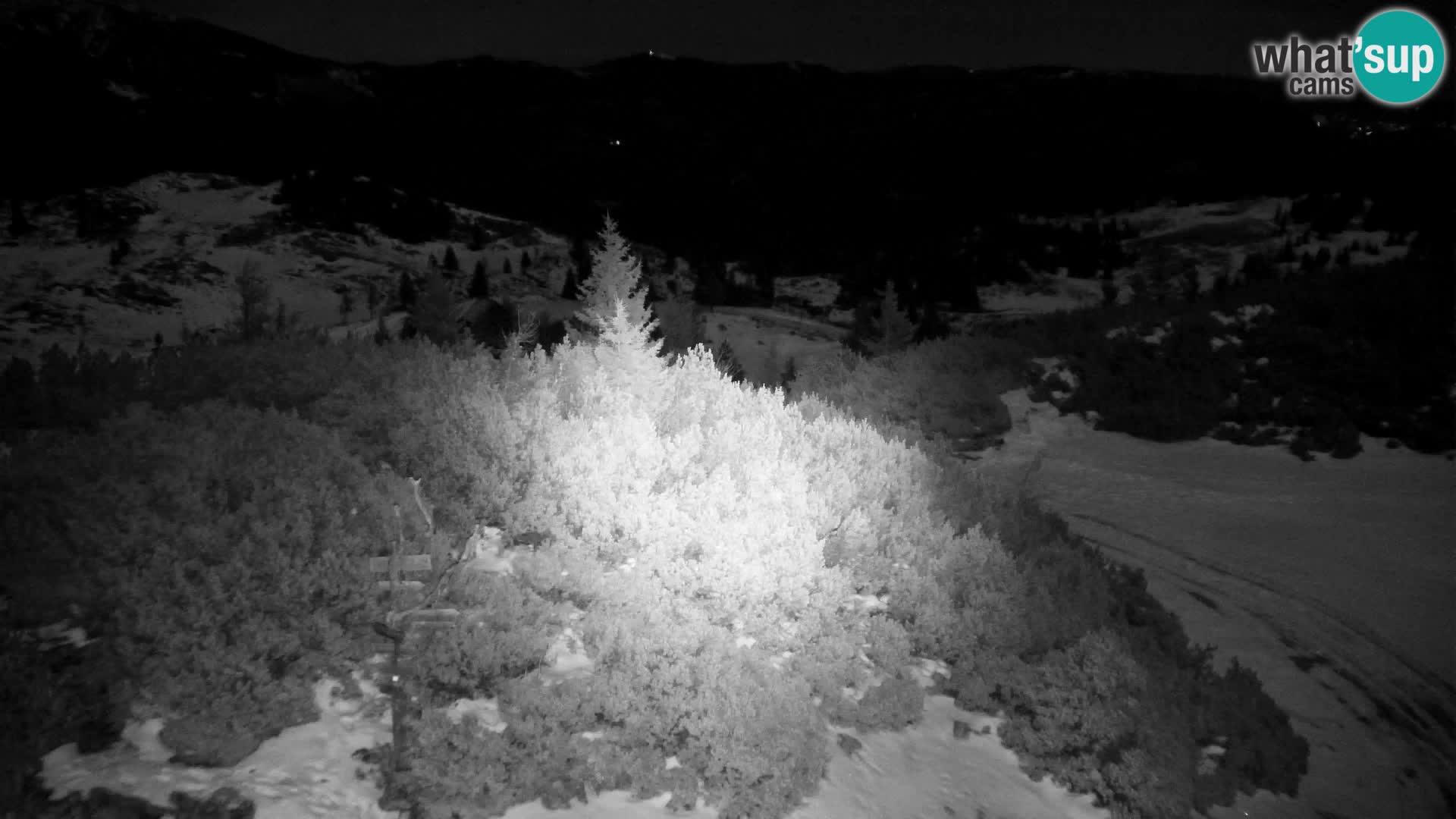 Velika Planina | Gradišče