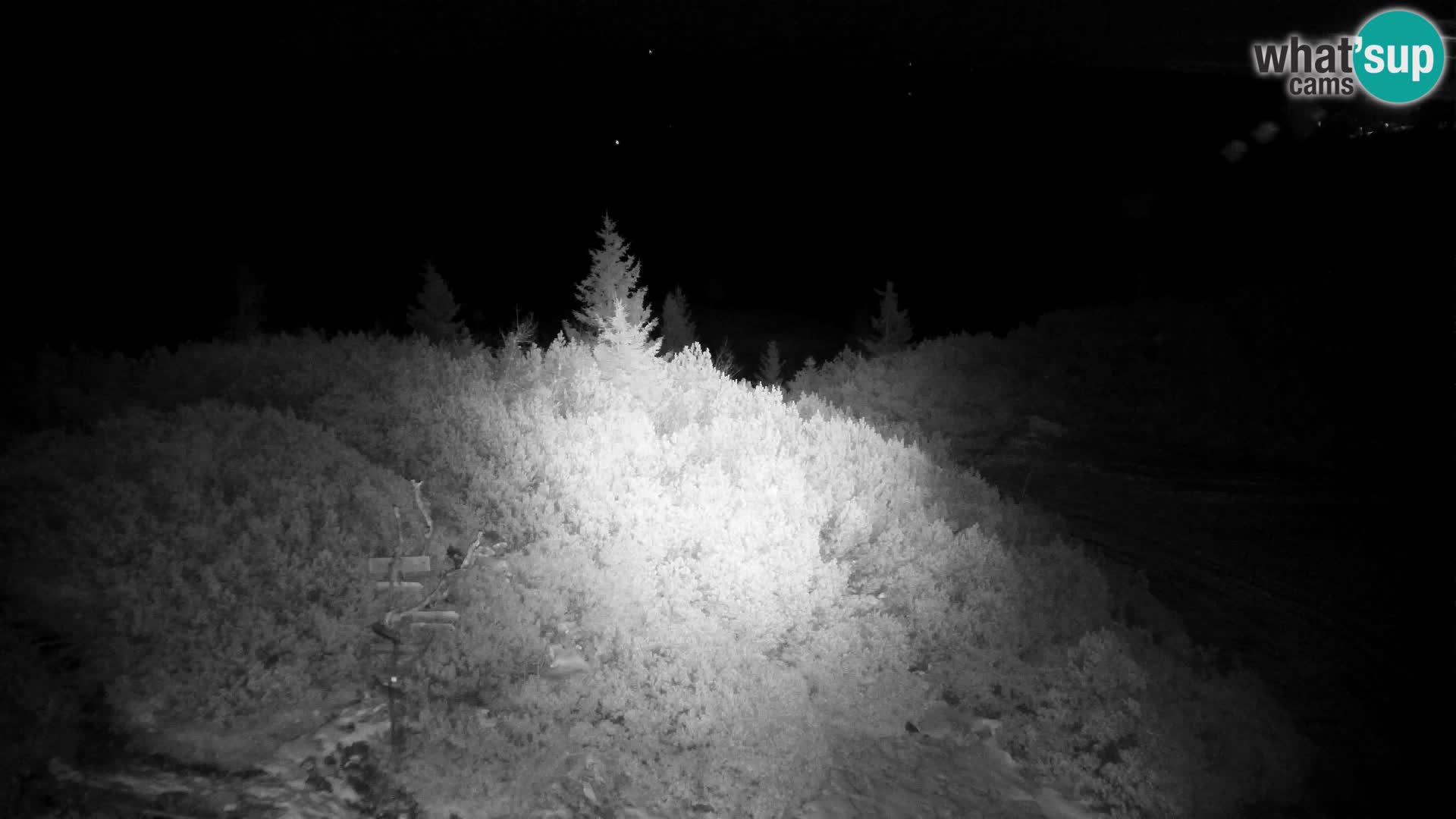Velika Planina | Gradišče