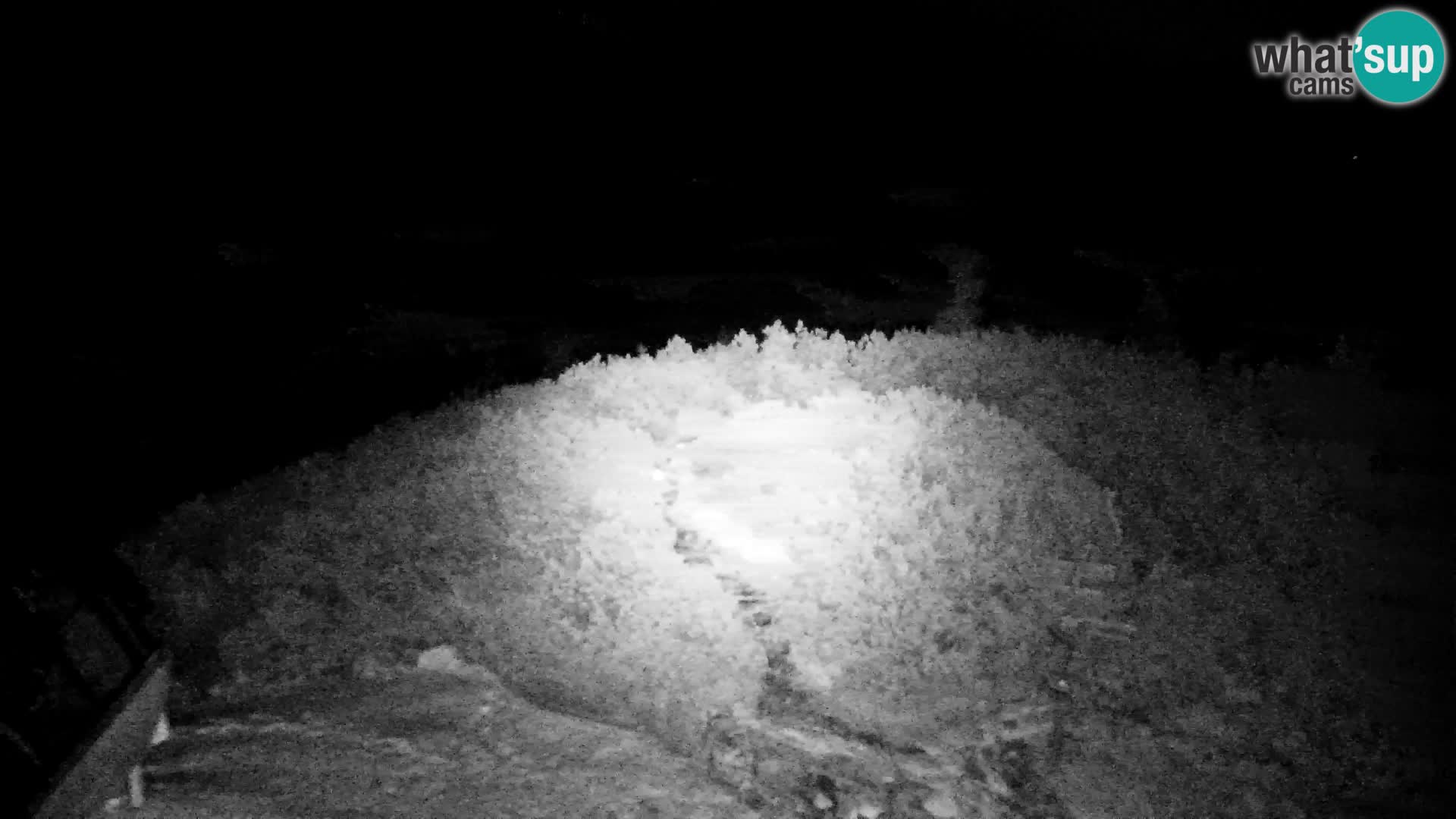 Velika Planina | Gradišče