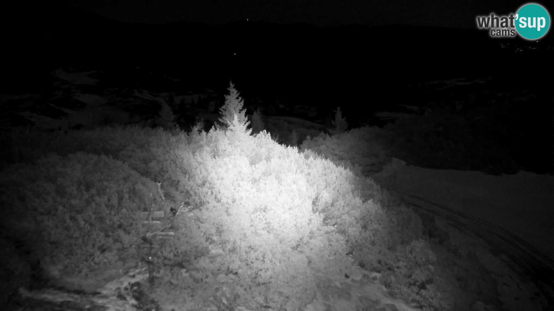 Velika Planina | Gradišče