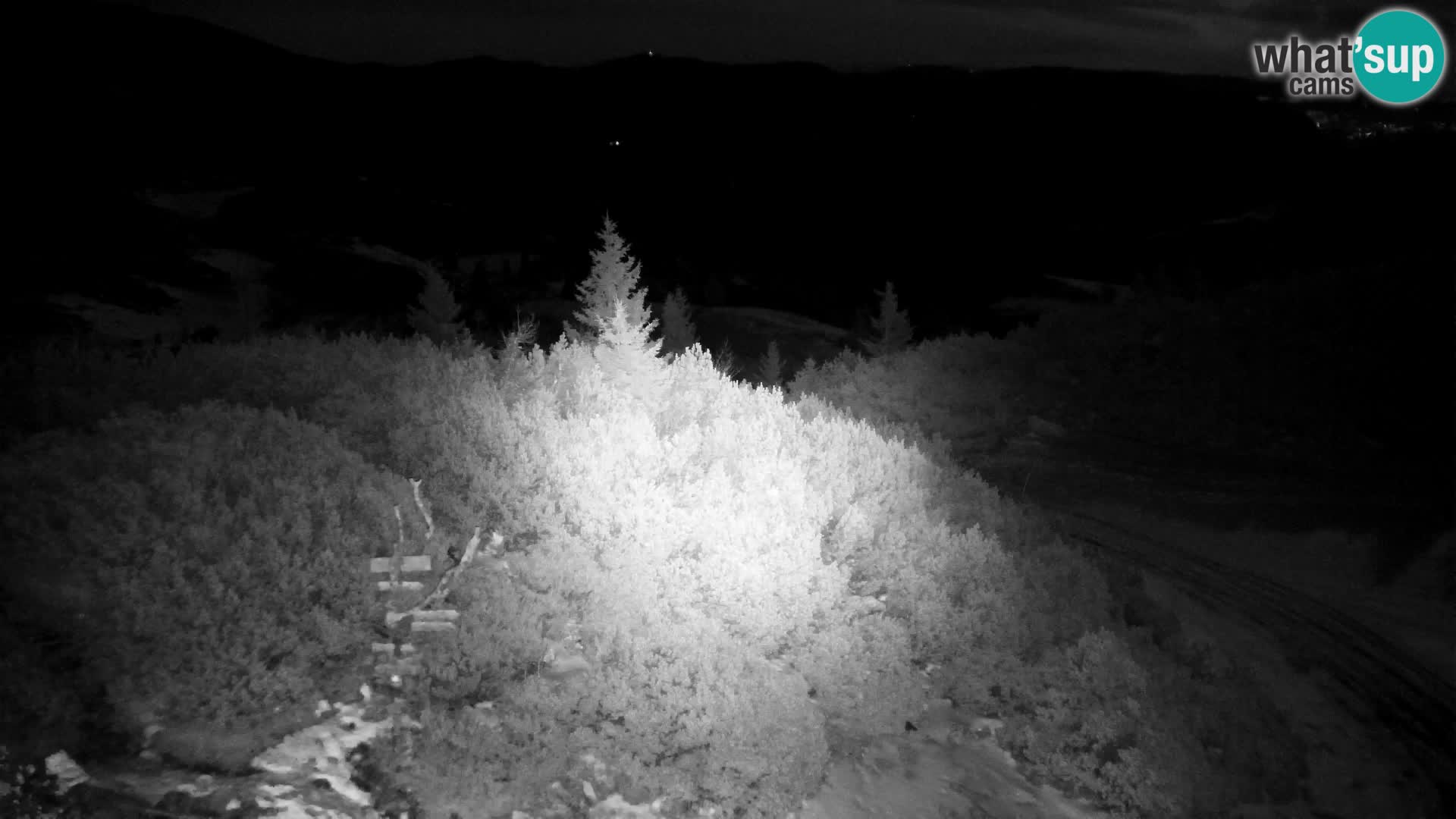 Velika Planina | Gradišče
