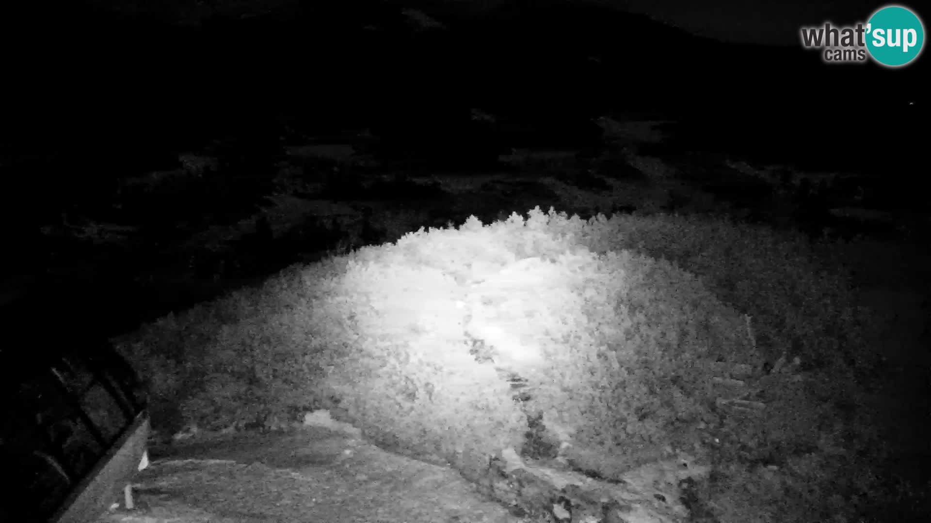 Velika Planina | Gradišče