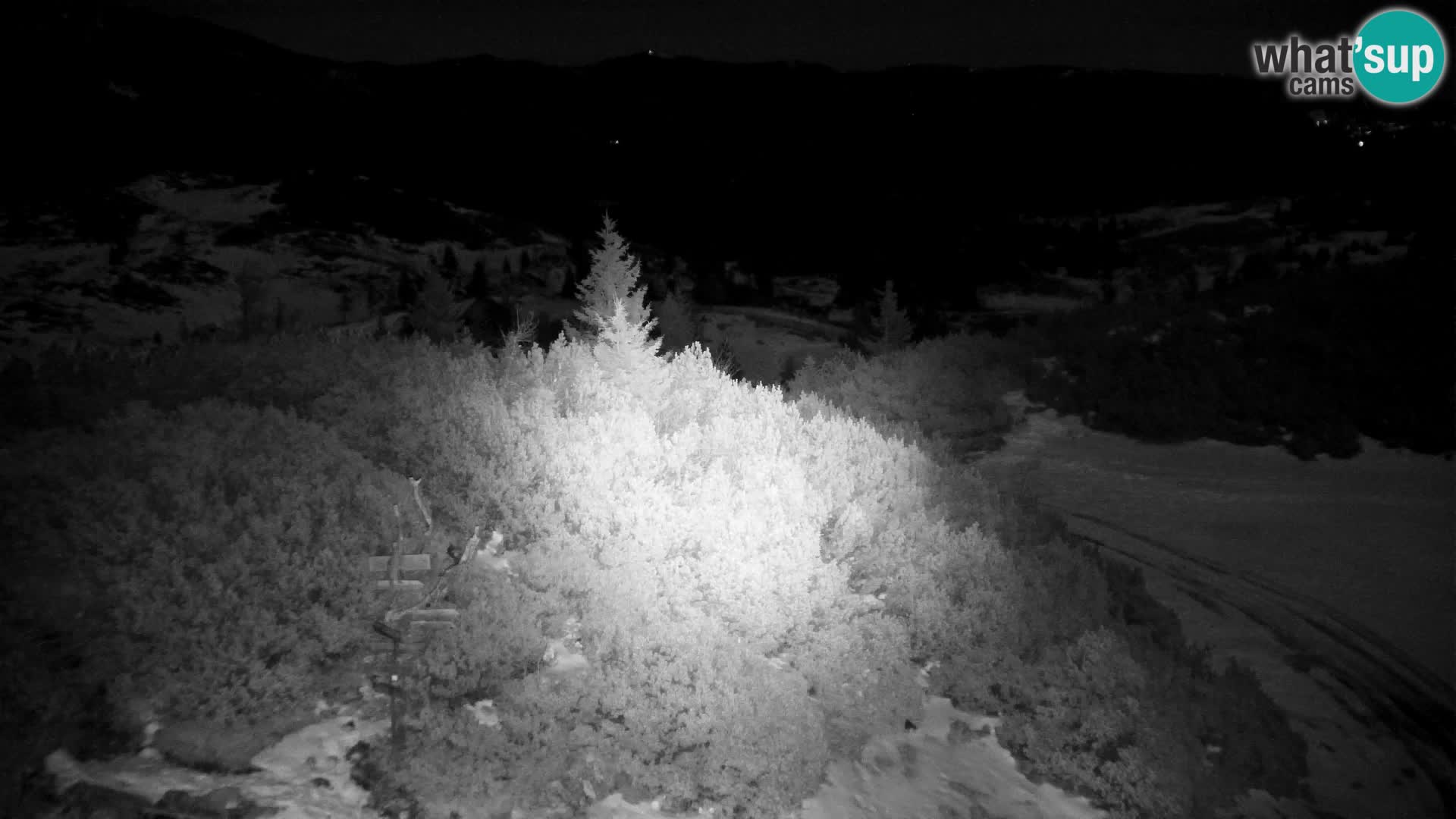 Velika Planina | Gradišče