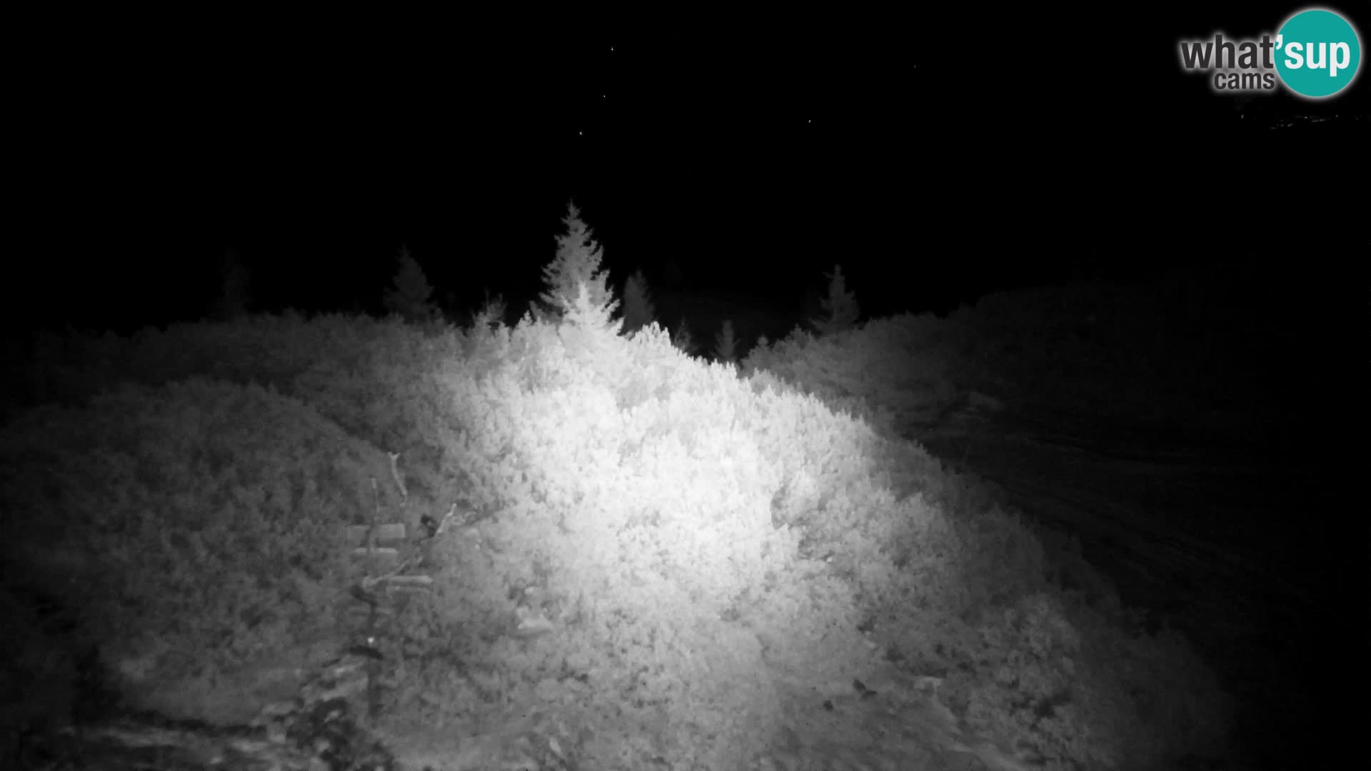 Velika Planina | Gradišče