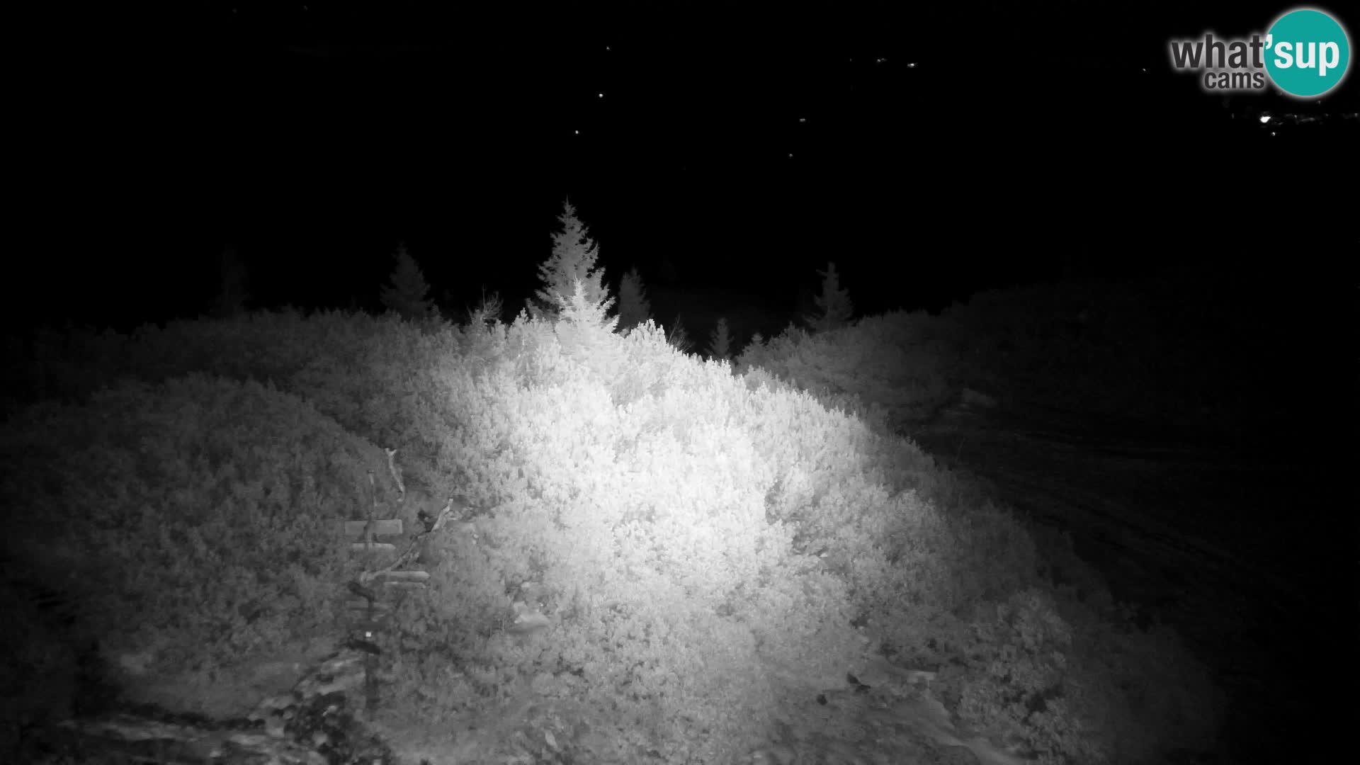 Velika Planina | Gradišče