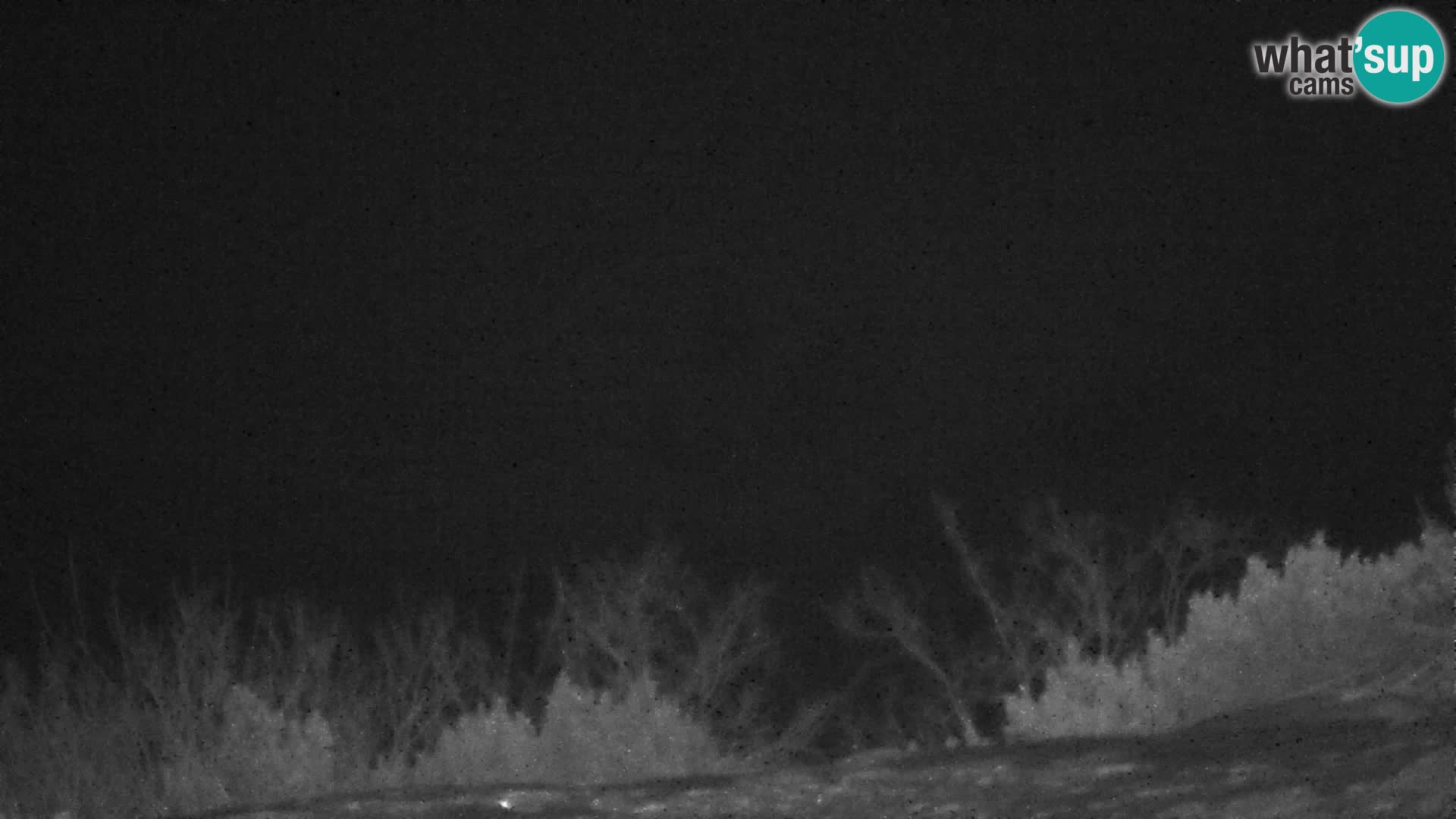 Velika Planina | Gradišče