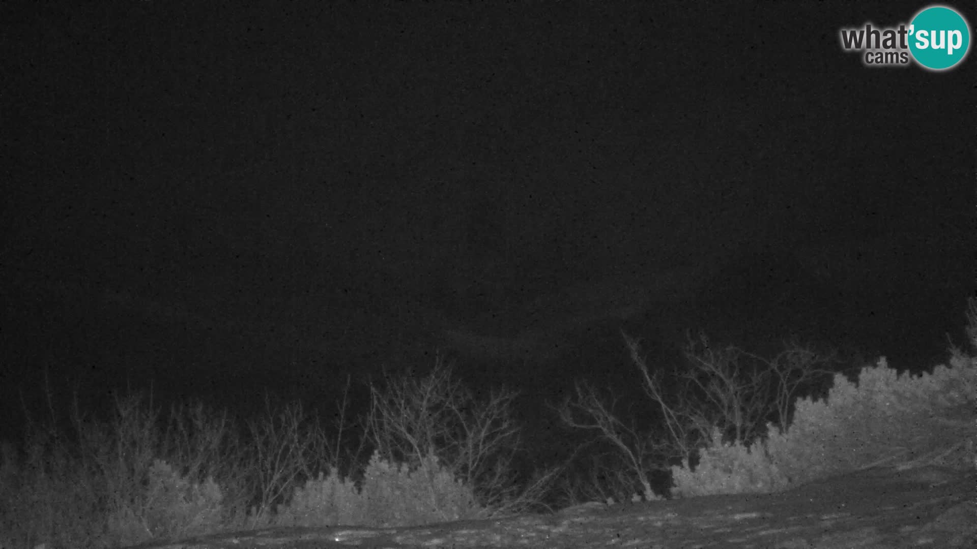 Velika Planina | Gradišče