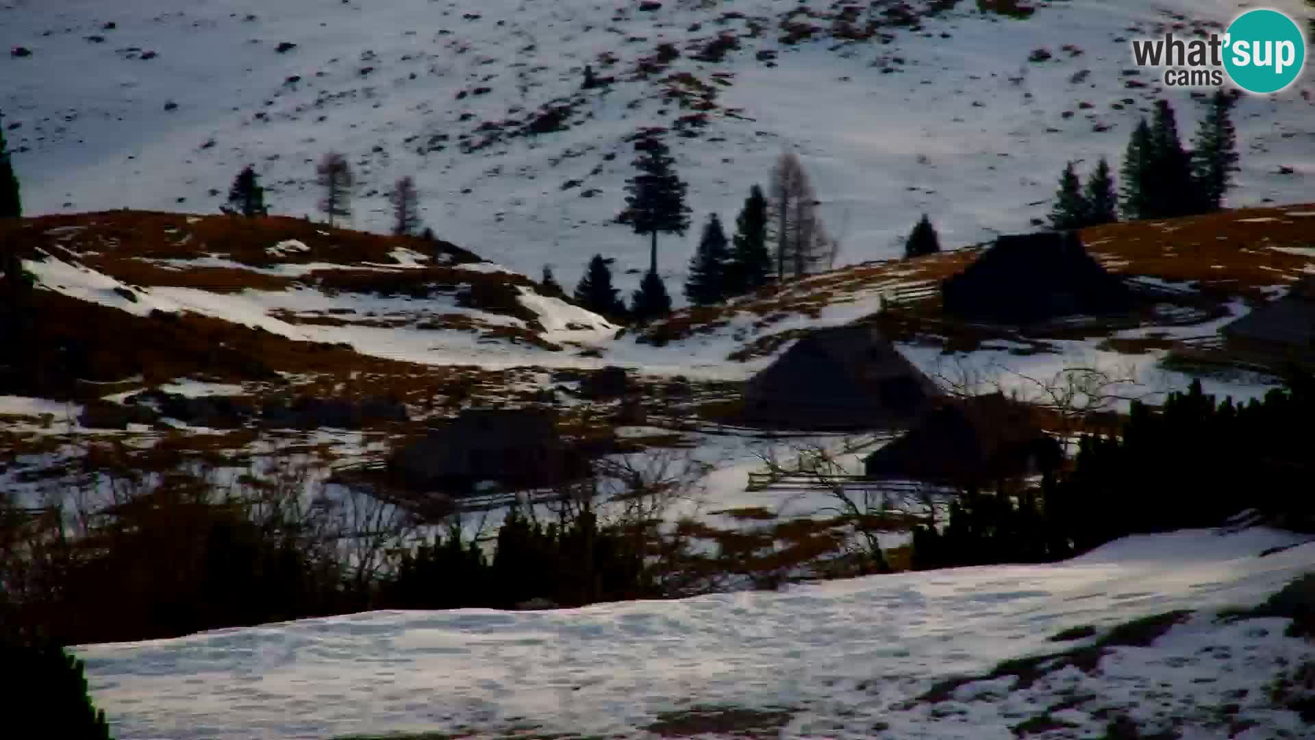 Velika Planina | Gradišče
