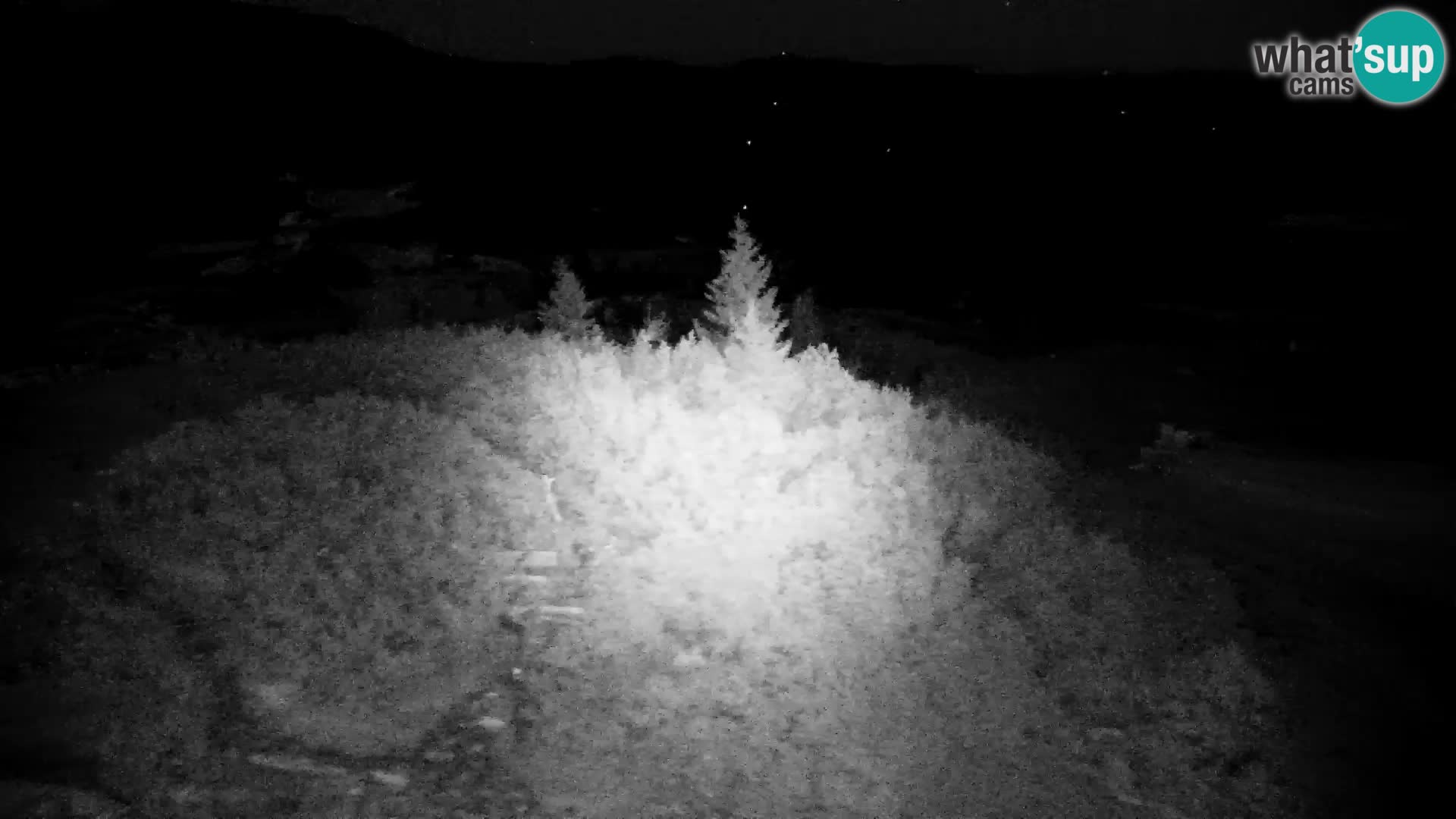 Velika Planina | Gradišče