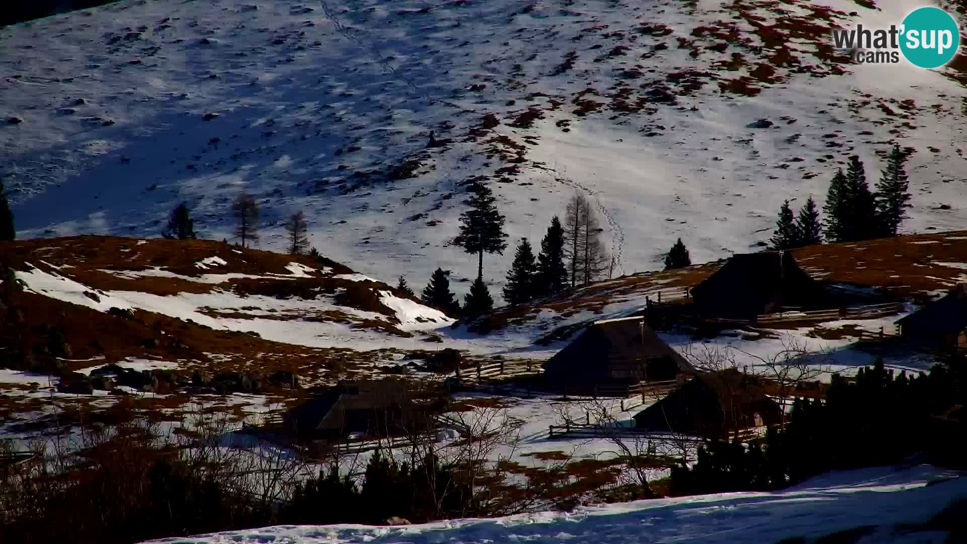 Velika Planina | Gradišče