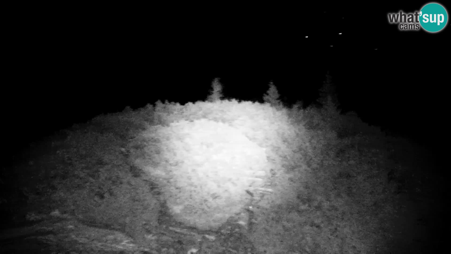 Velika Planina | Gradišče