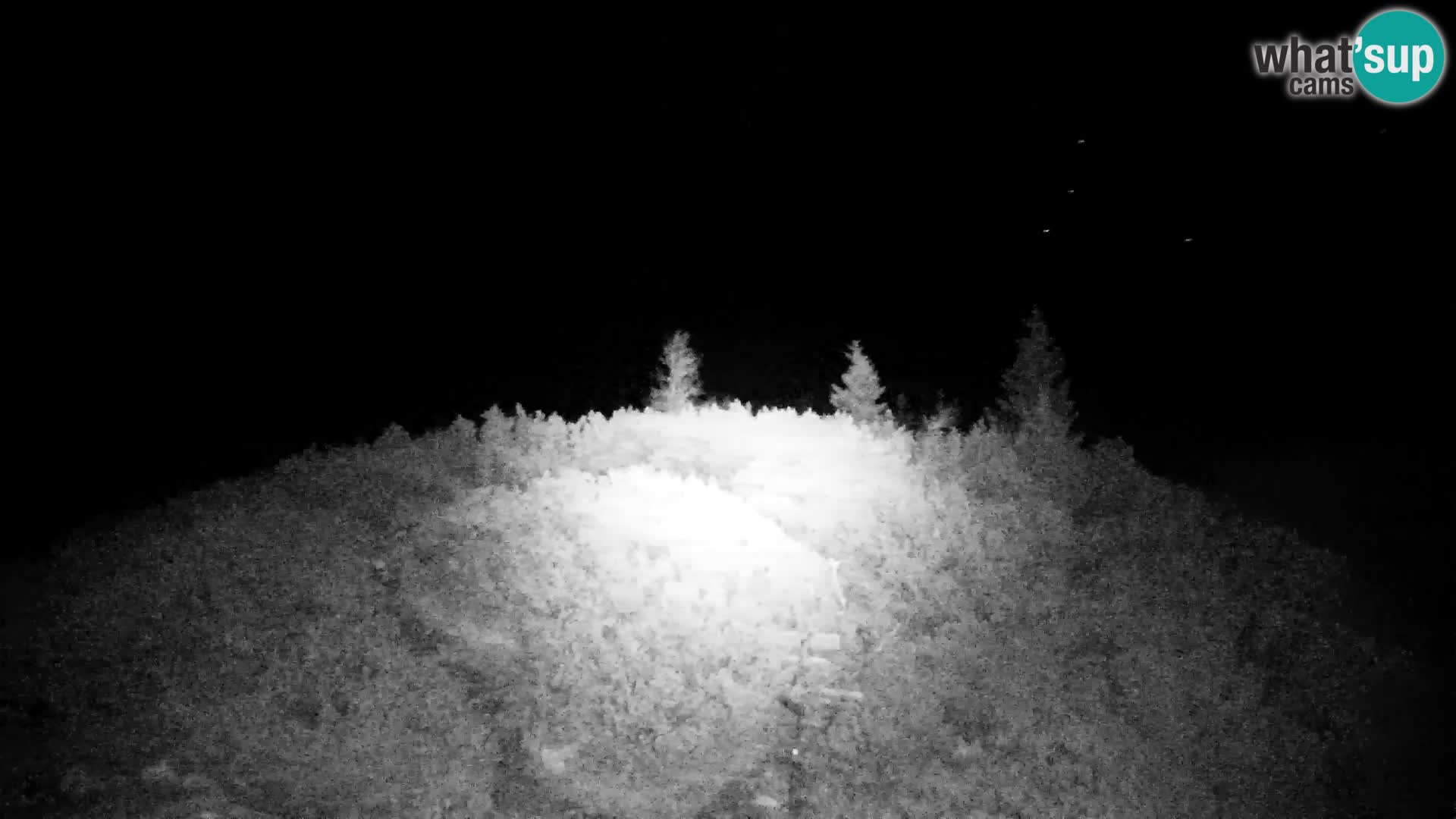 Velika Planina | Gradišče