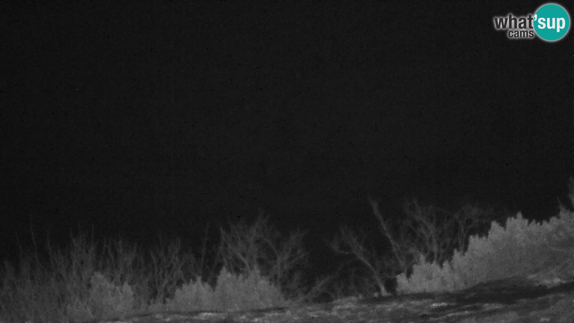 Velika Planina | Gradišče