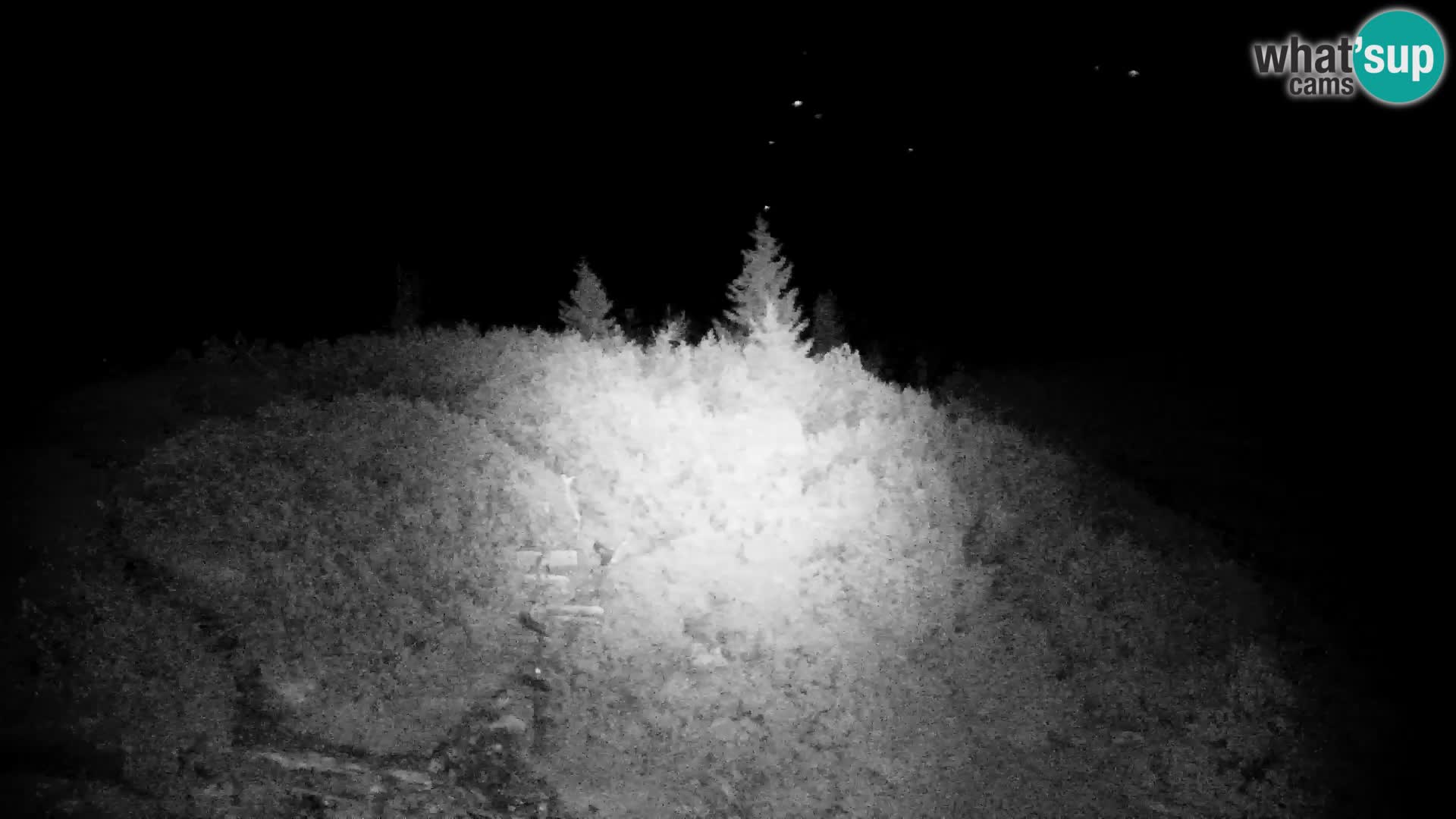 Velika Planina | Gradišče