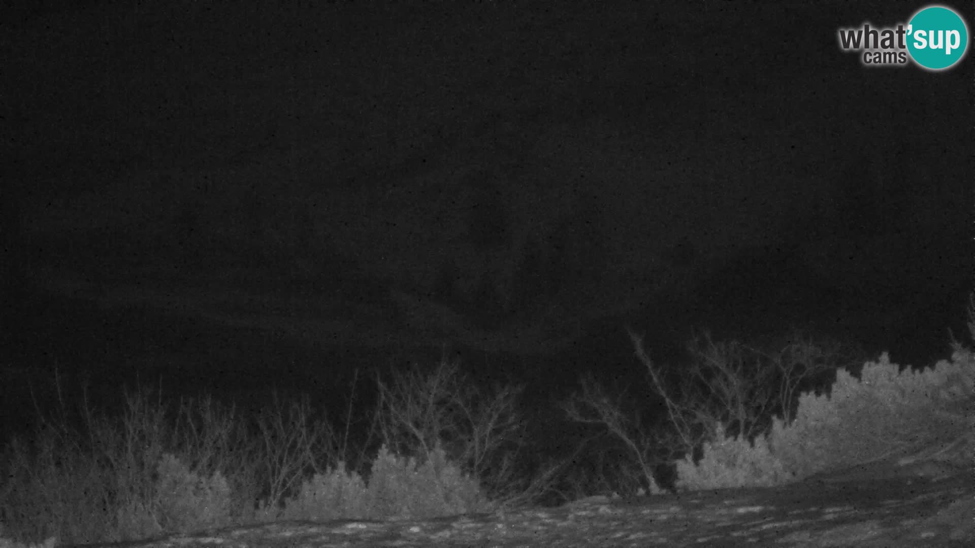 Velika Planina | Gradišče