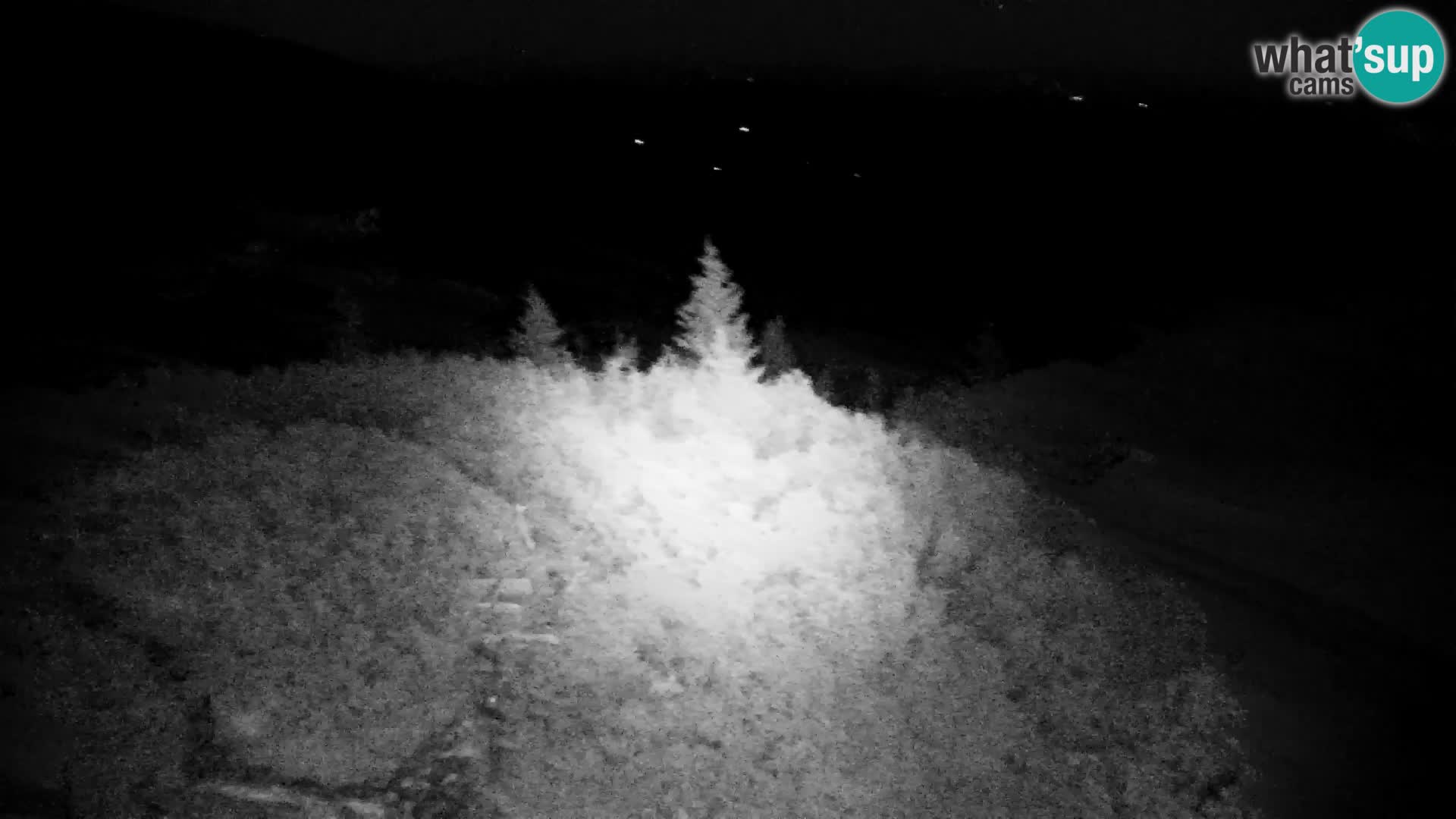 Velika Planina | Gradišče