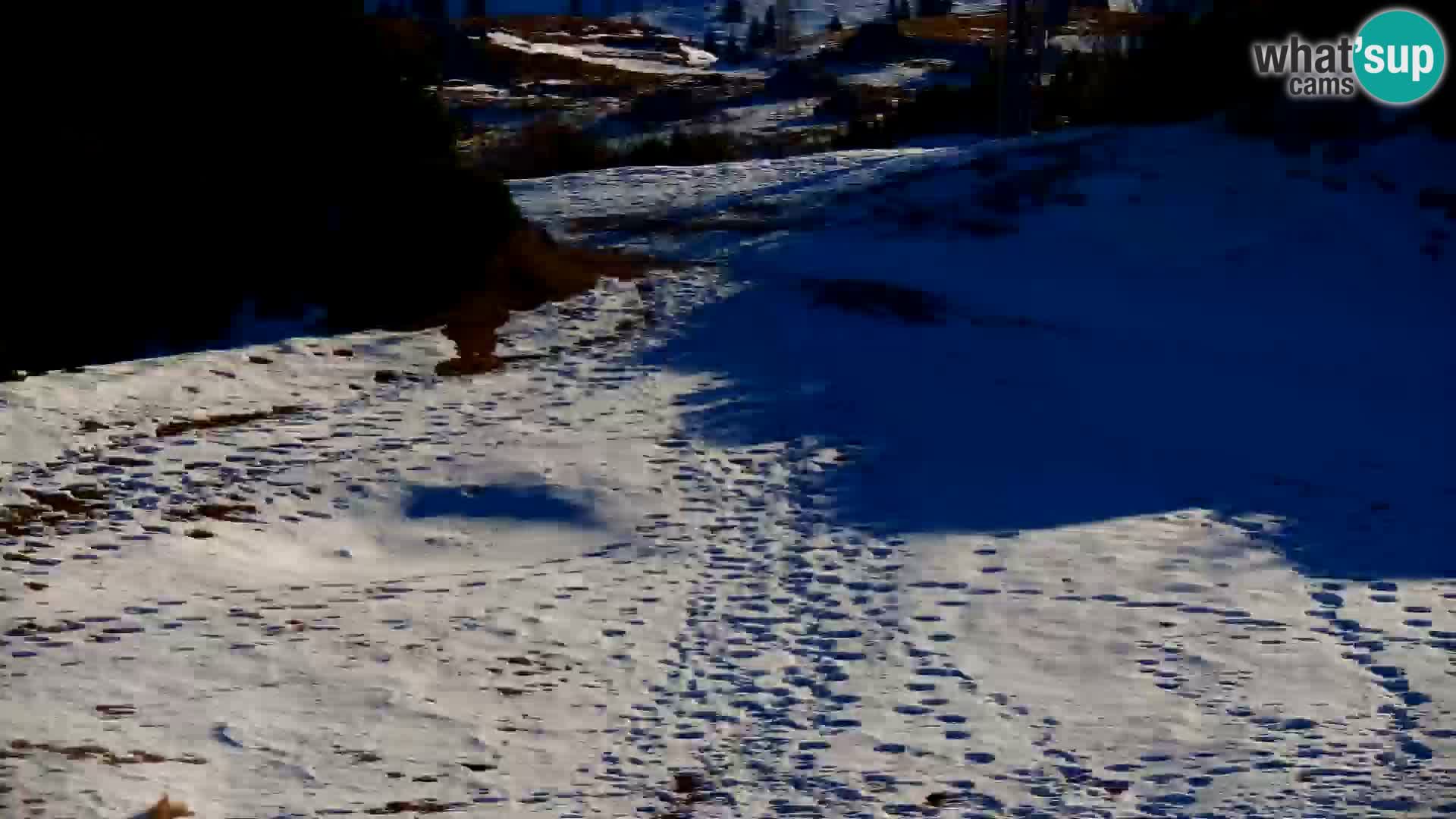 Velika Planina | Gradišče