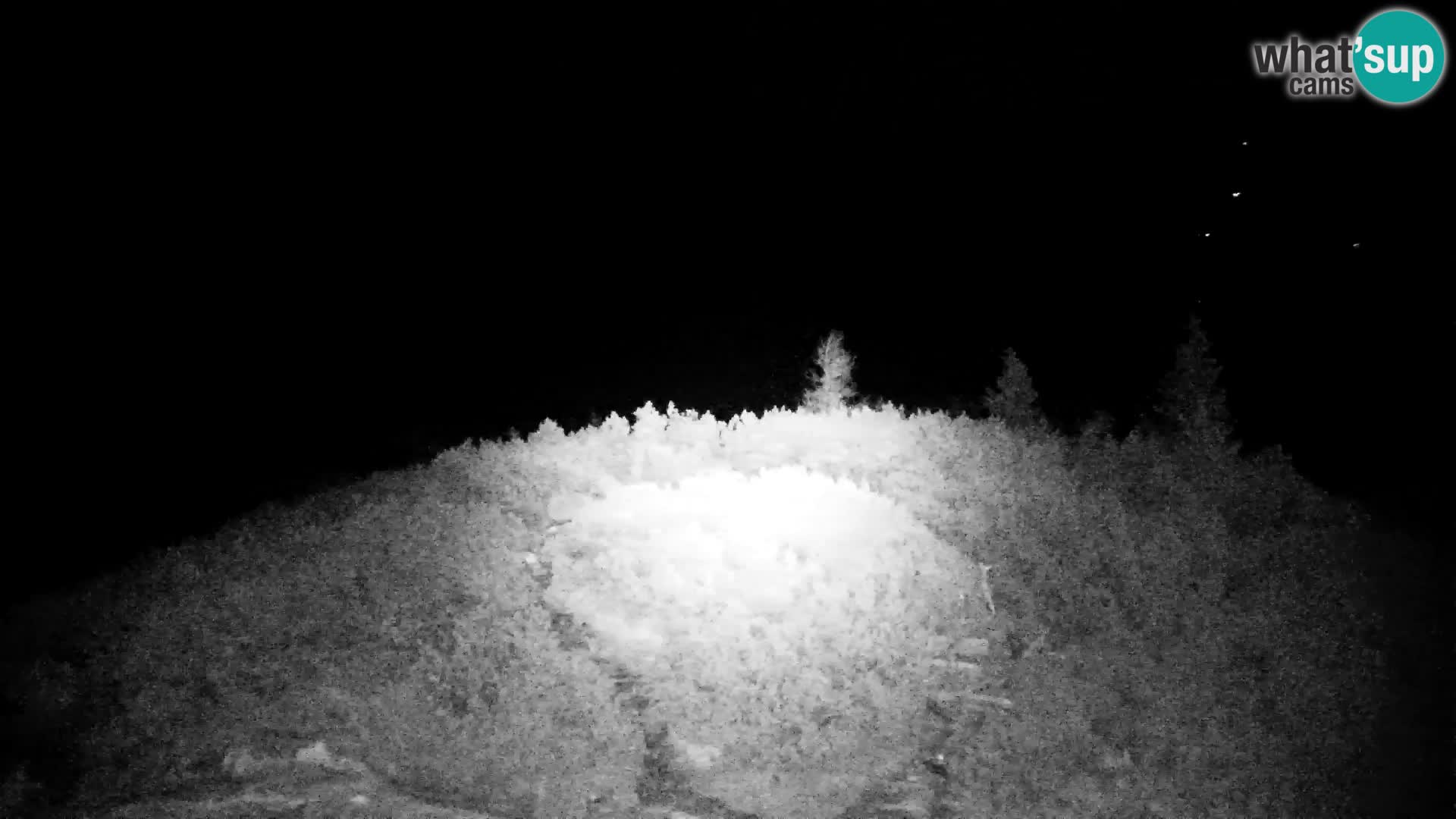 Velika Planina | Gradišče