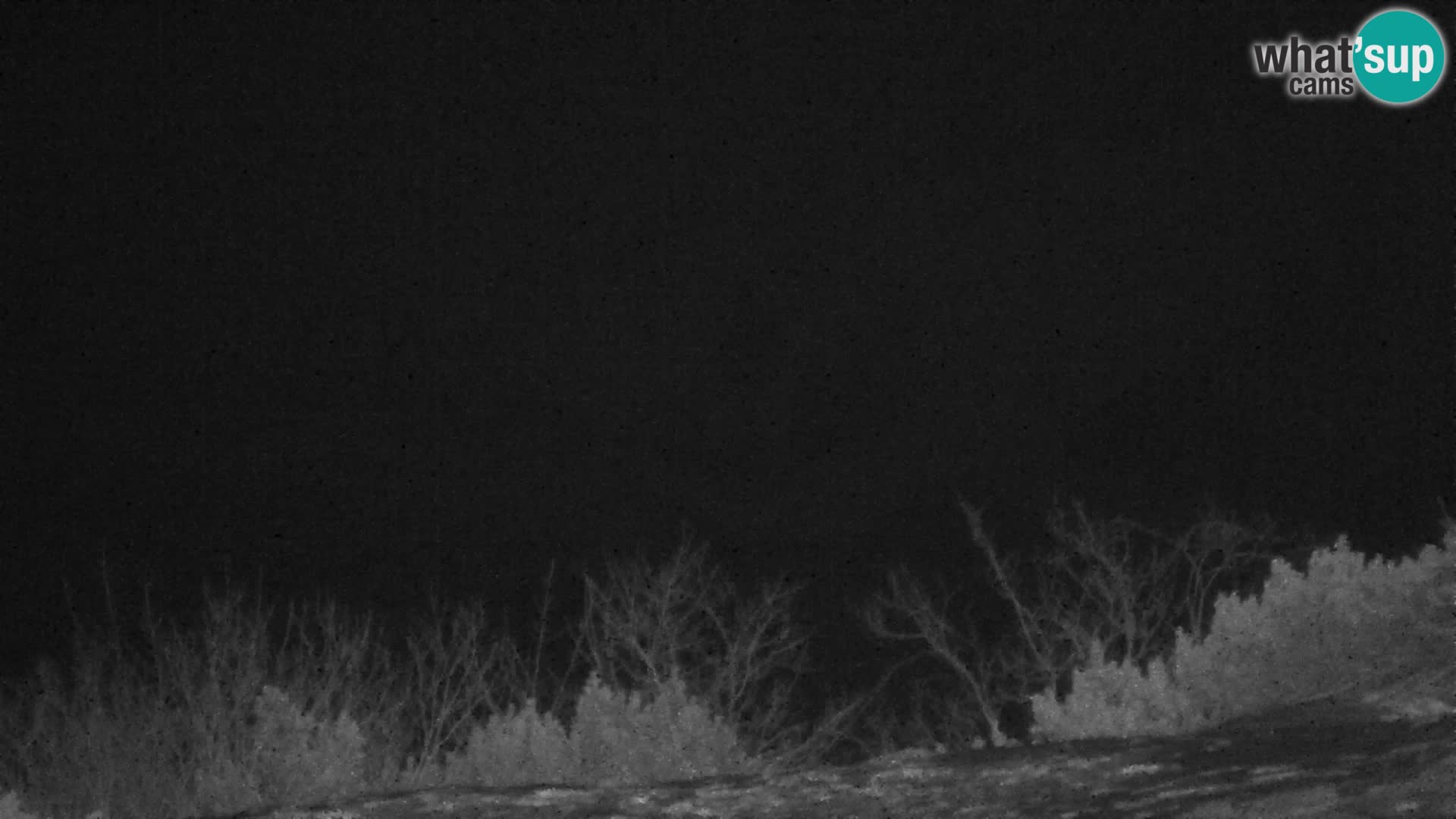 Velika Planina | Gradišče