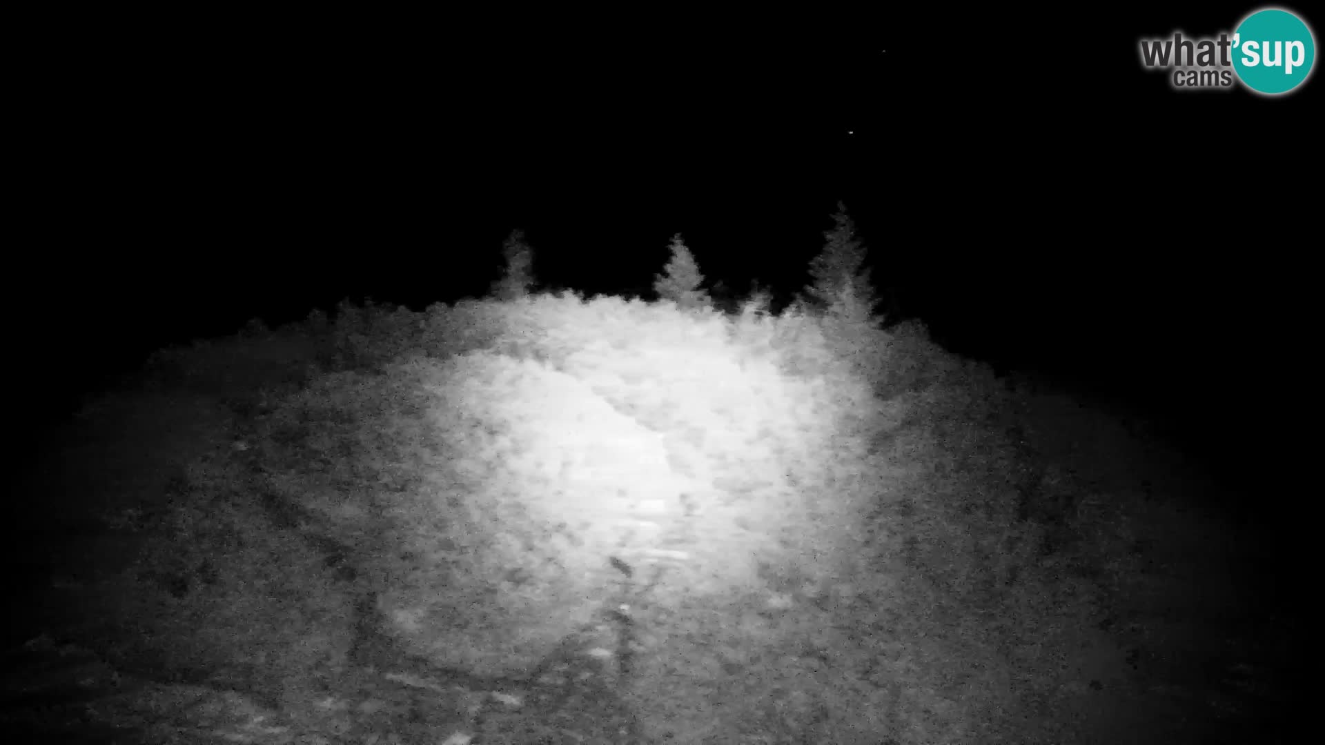 Velika Planina | Gradišče