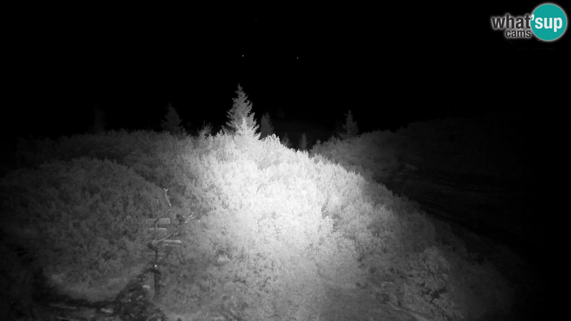 Velika Planina | Gradišče