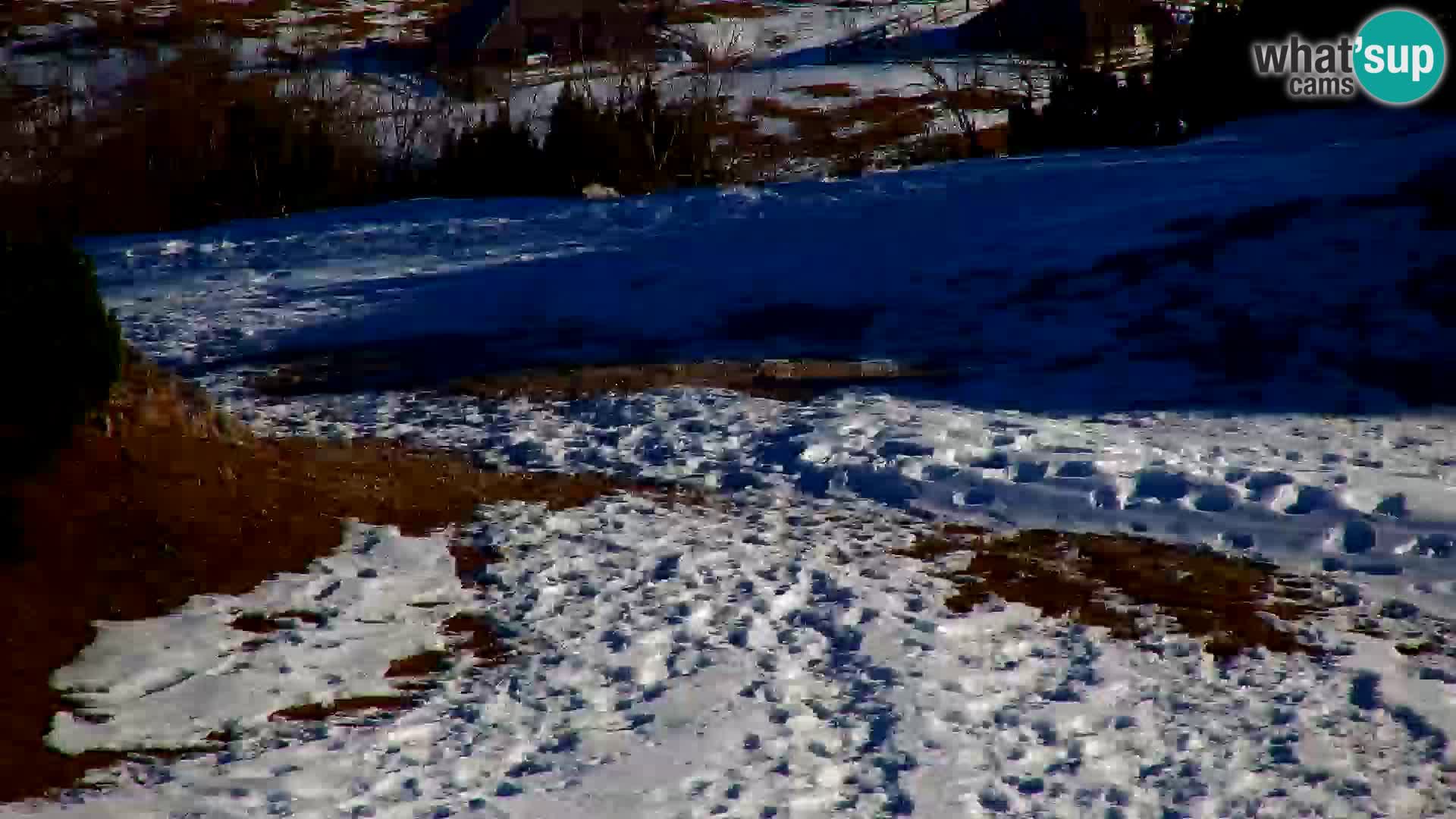 Velika Planina | Gradišče