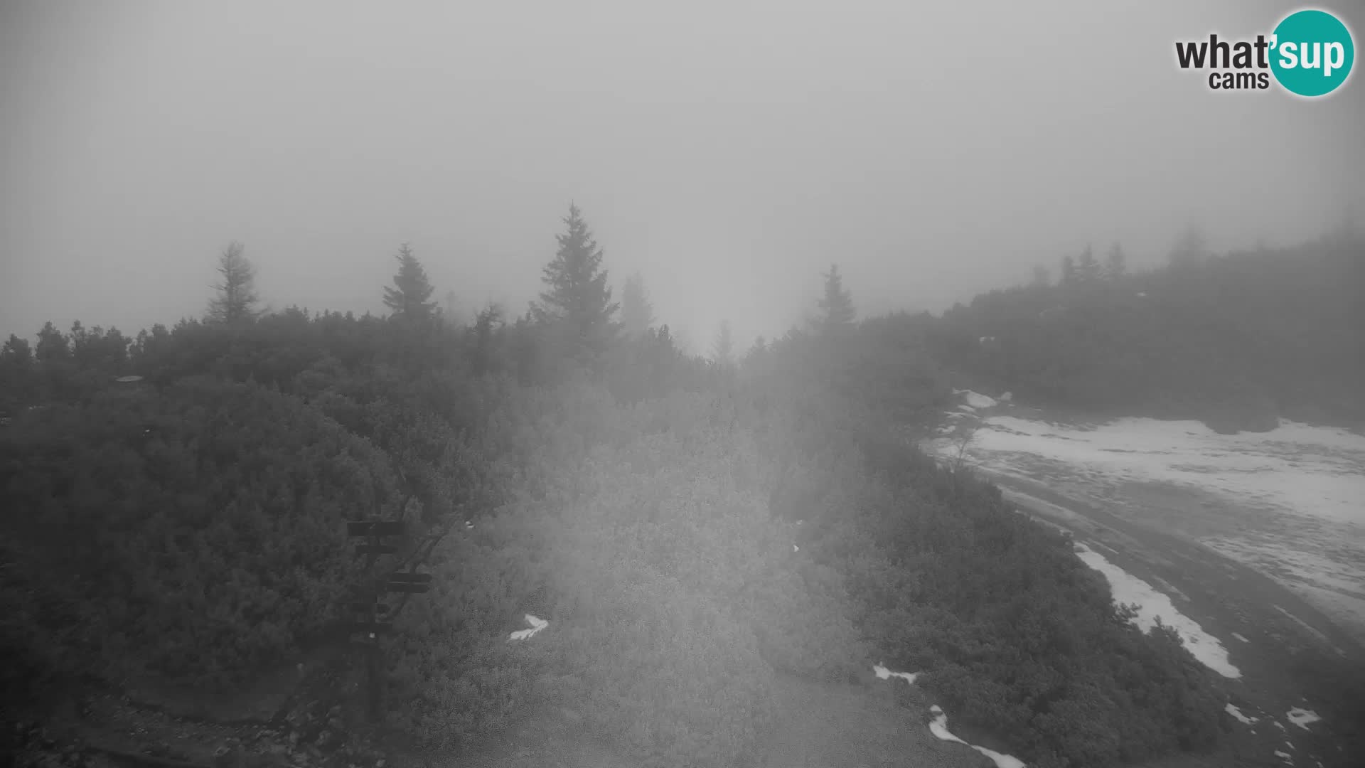 Velika Planina | Gradišče