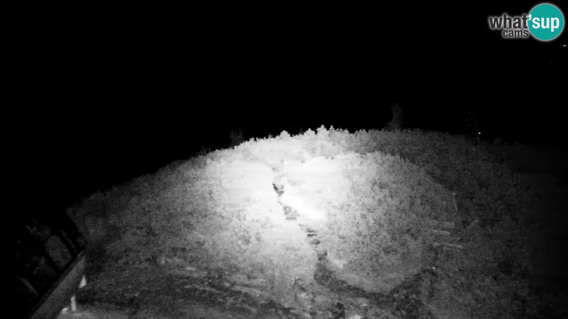 Velika Planina | Gradišče