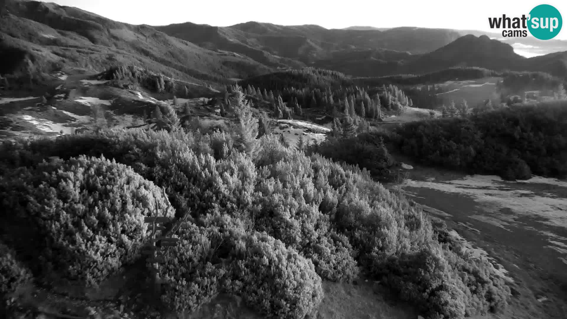 Velika Planina | Gradišče