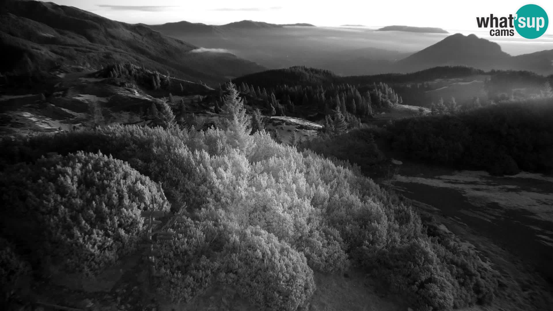 Velika Planina | Gradišče