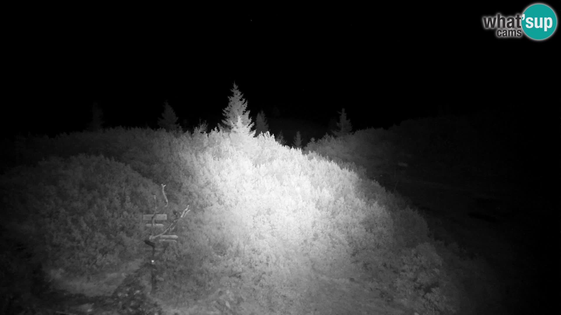 Velika Planina | Gradišče