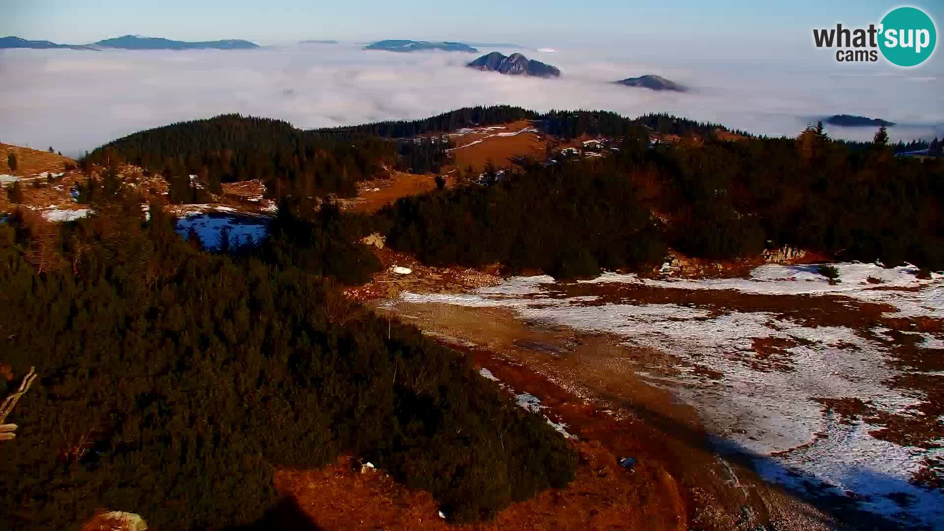Velika Planina | Gradišče