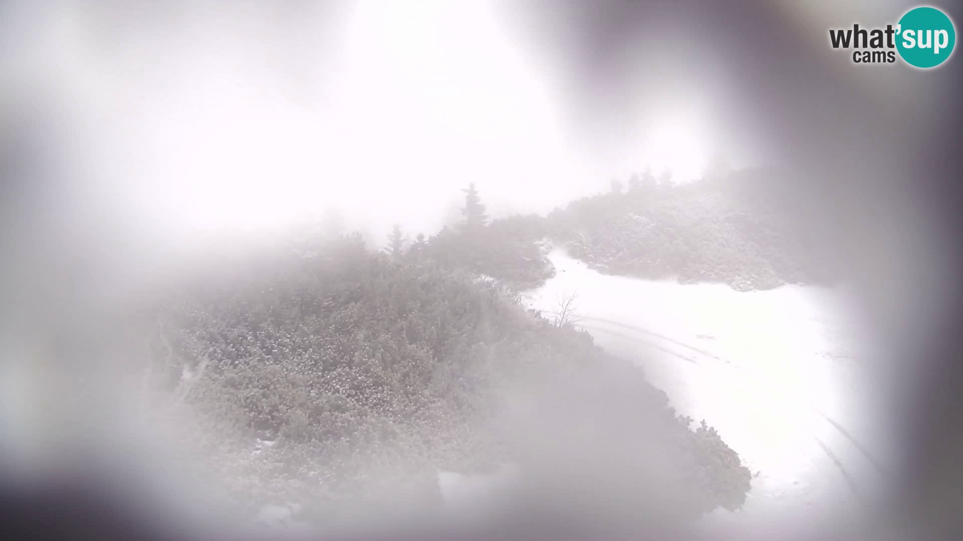 Velika Planina | Gradišče