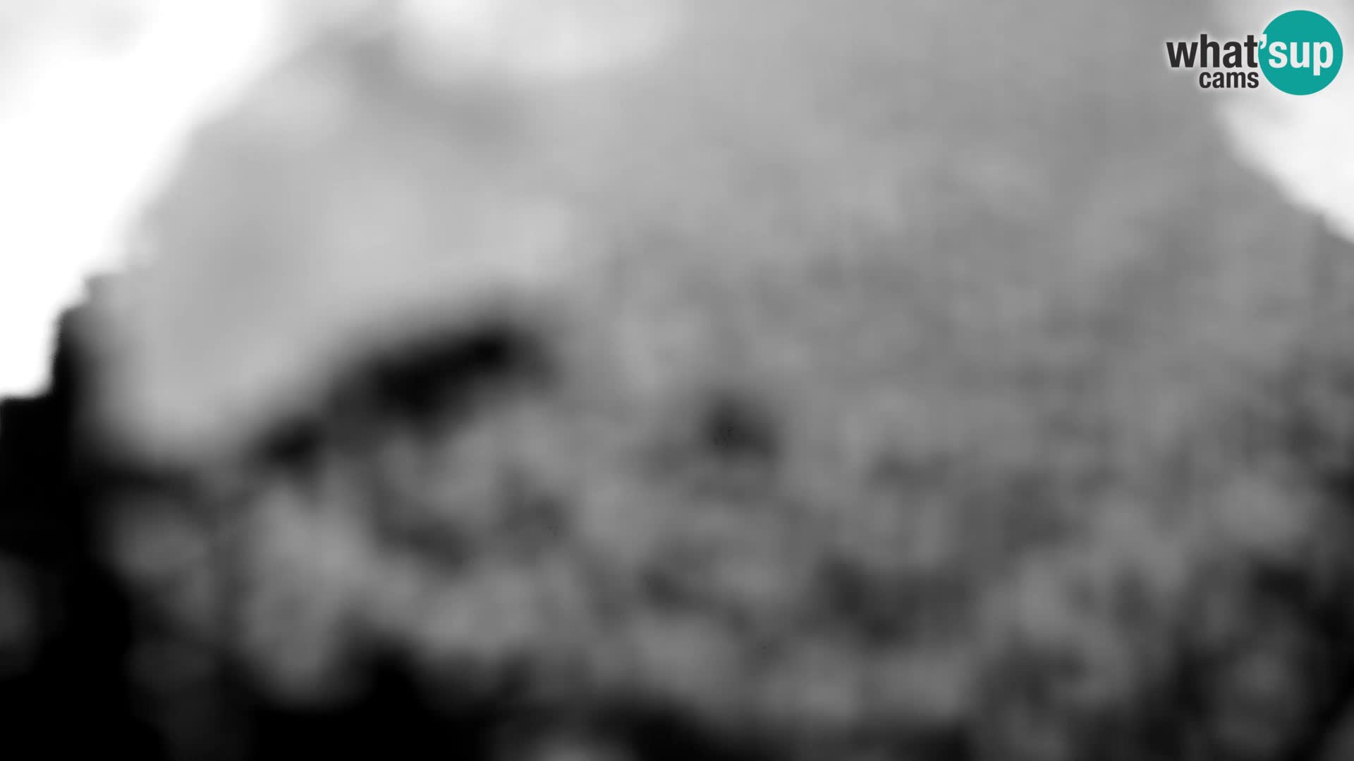 Velika Planina | Gradišče