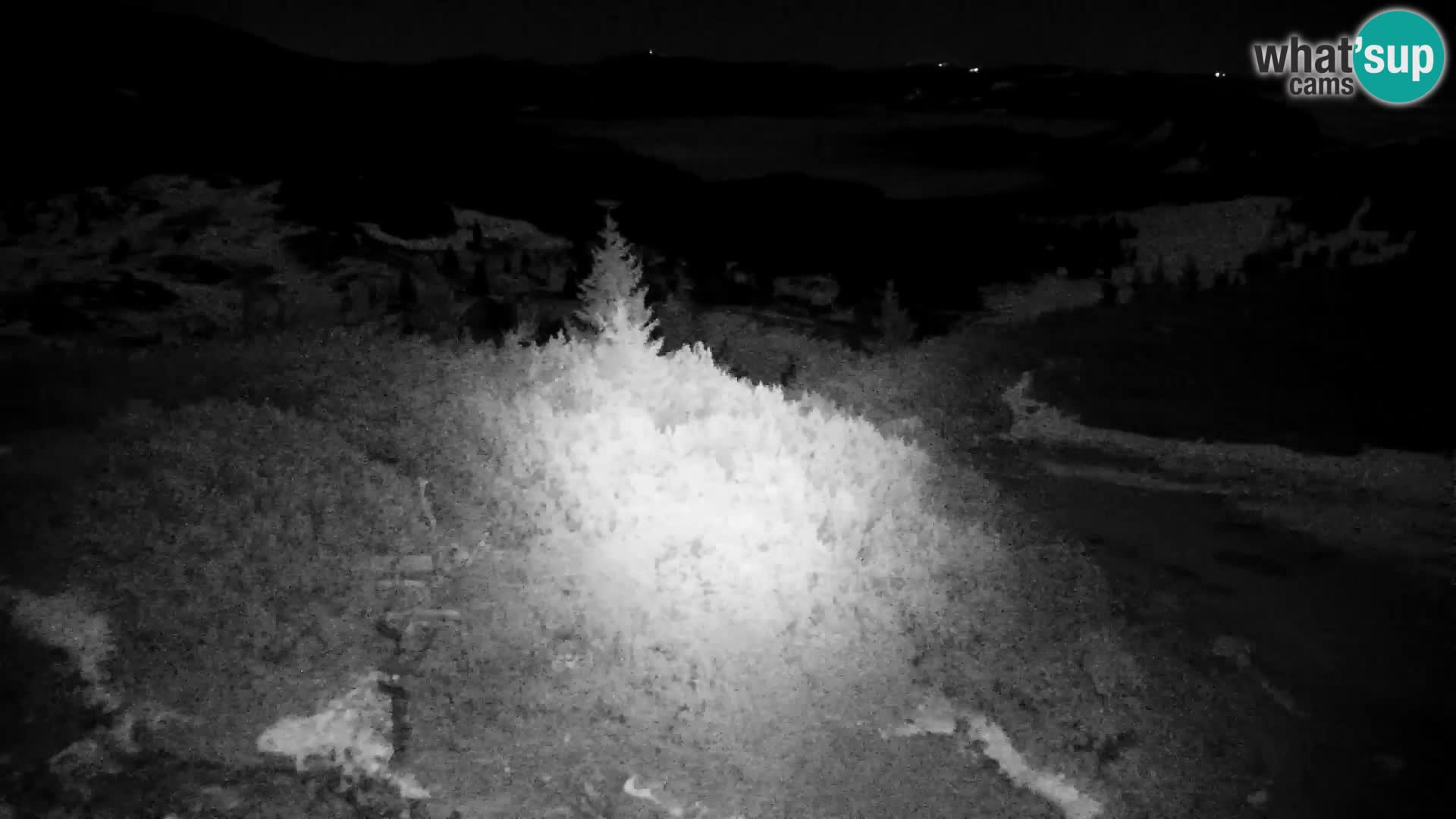 Velika Planina | Gradišče