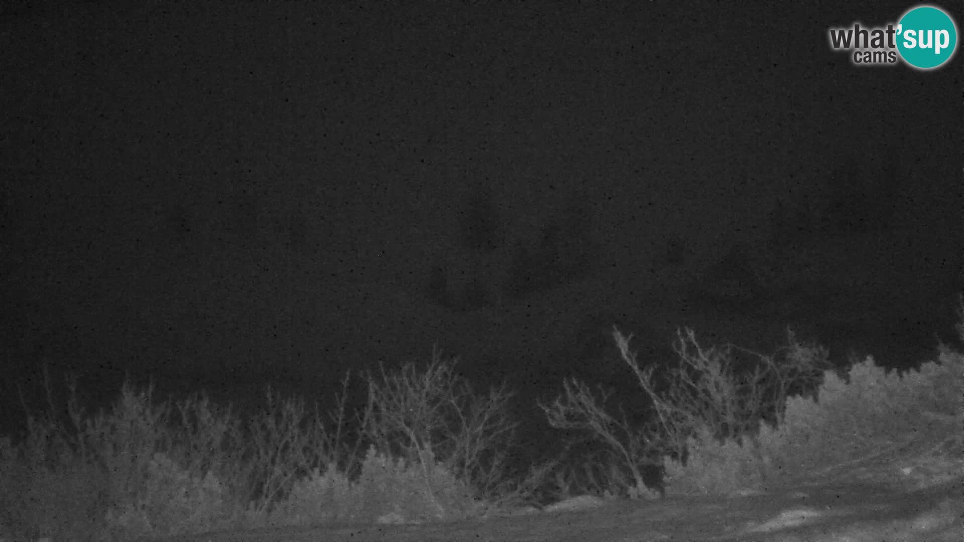 Velika Planina | Gradišče