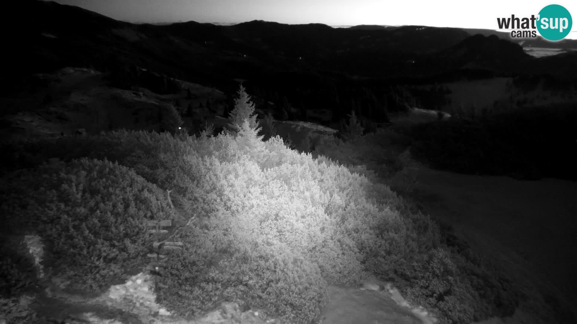 Velika Planina | Gradišče