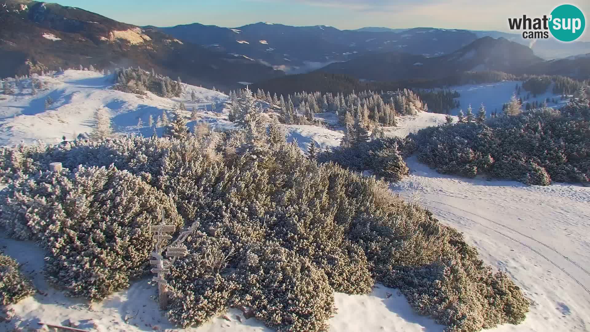 Velika Planina | Gradišče