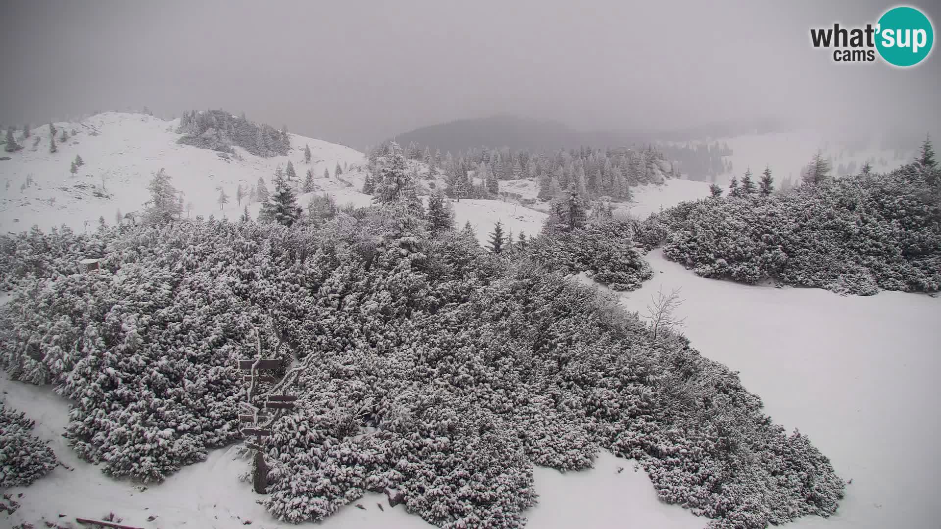 Velika Planina | Gradišče