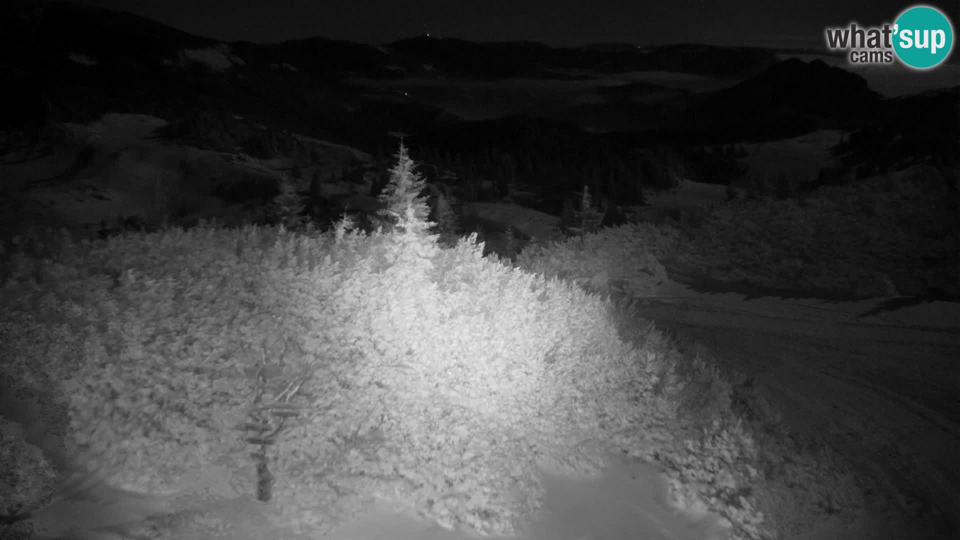 Velika Planina | Gradišče