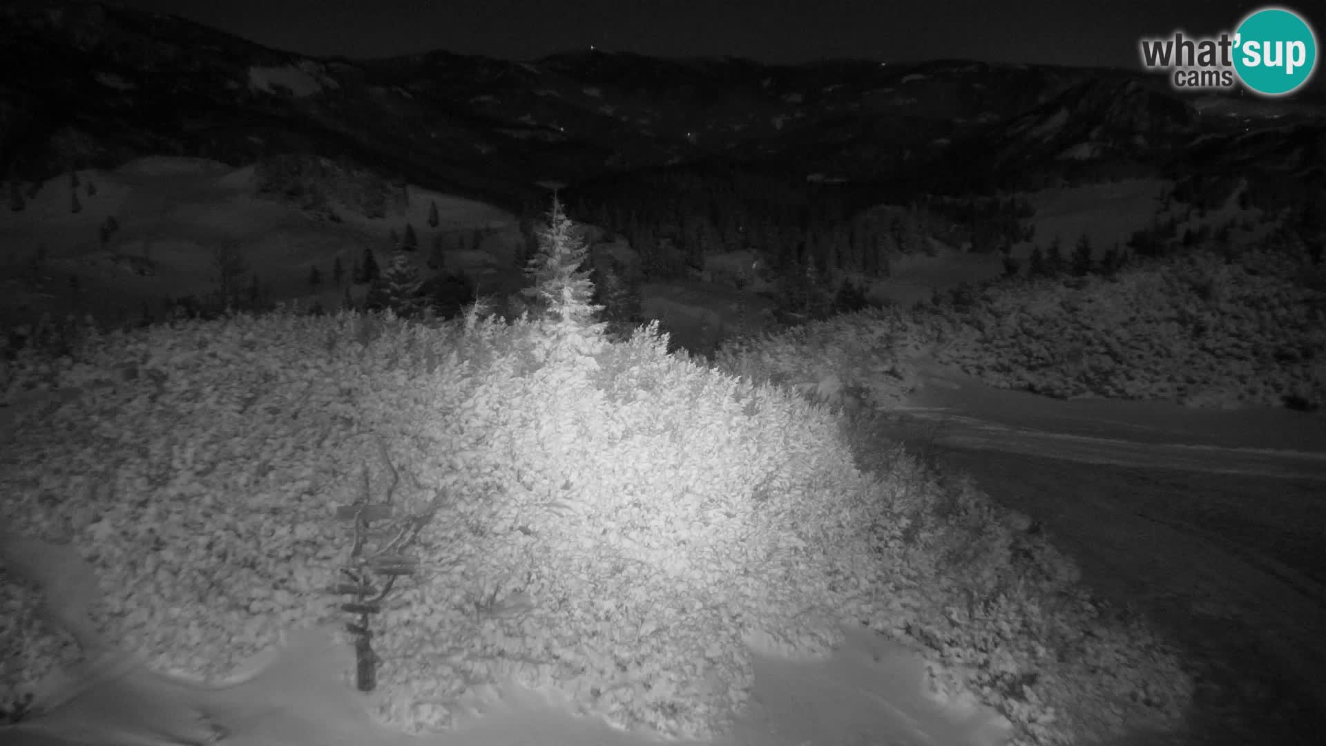 Velika Planina | Gradišče