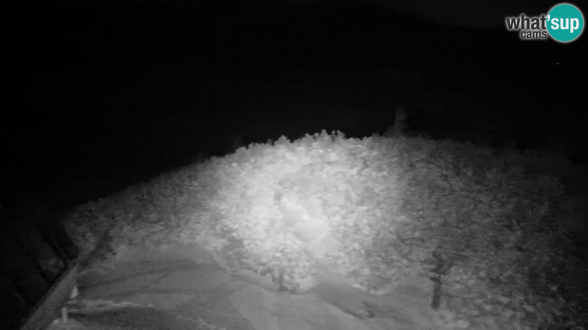 Velika Planina | Gradišče