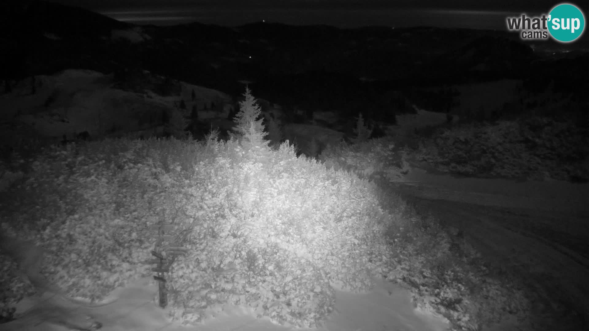 Velika Planina | Gradišče