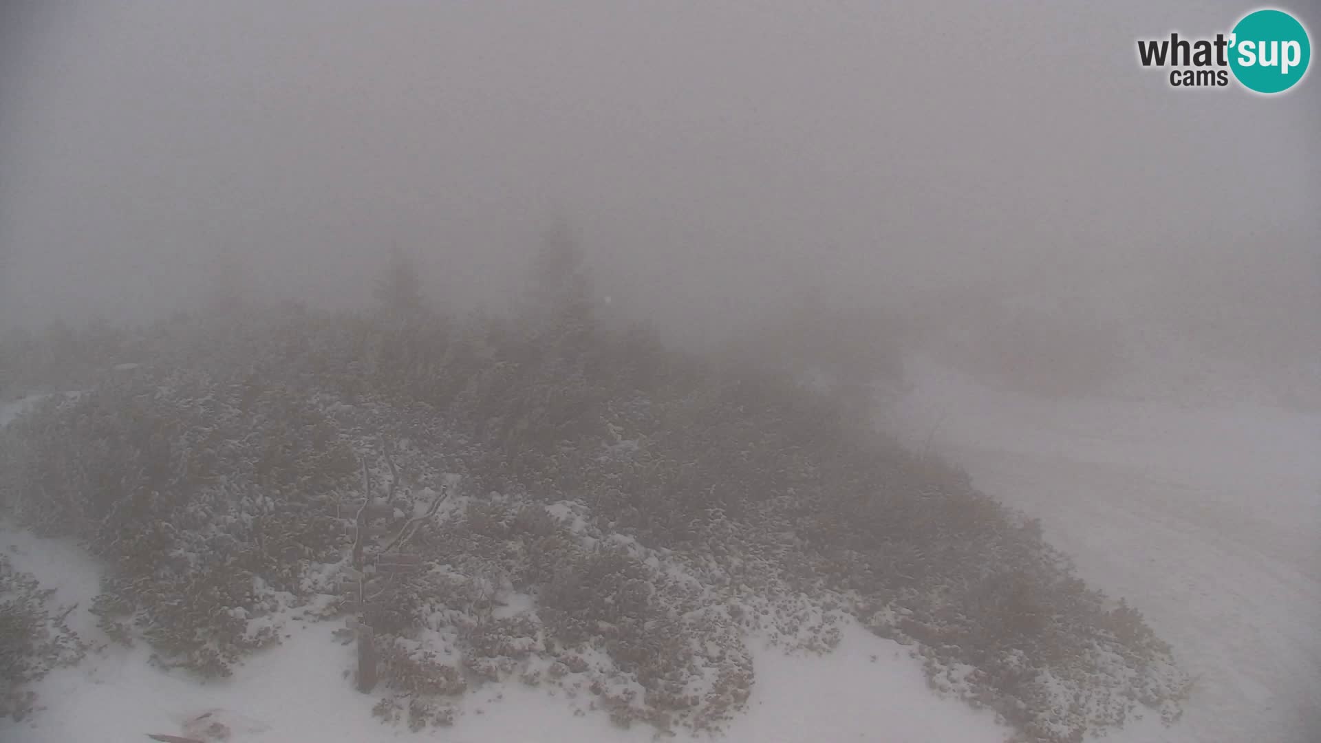Velika Planina | Gradišče