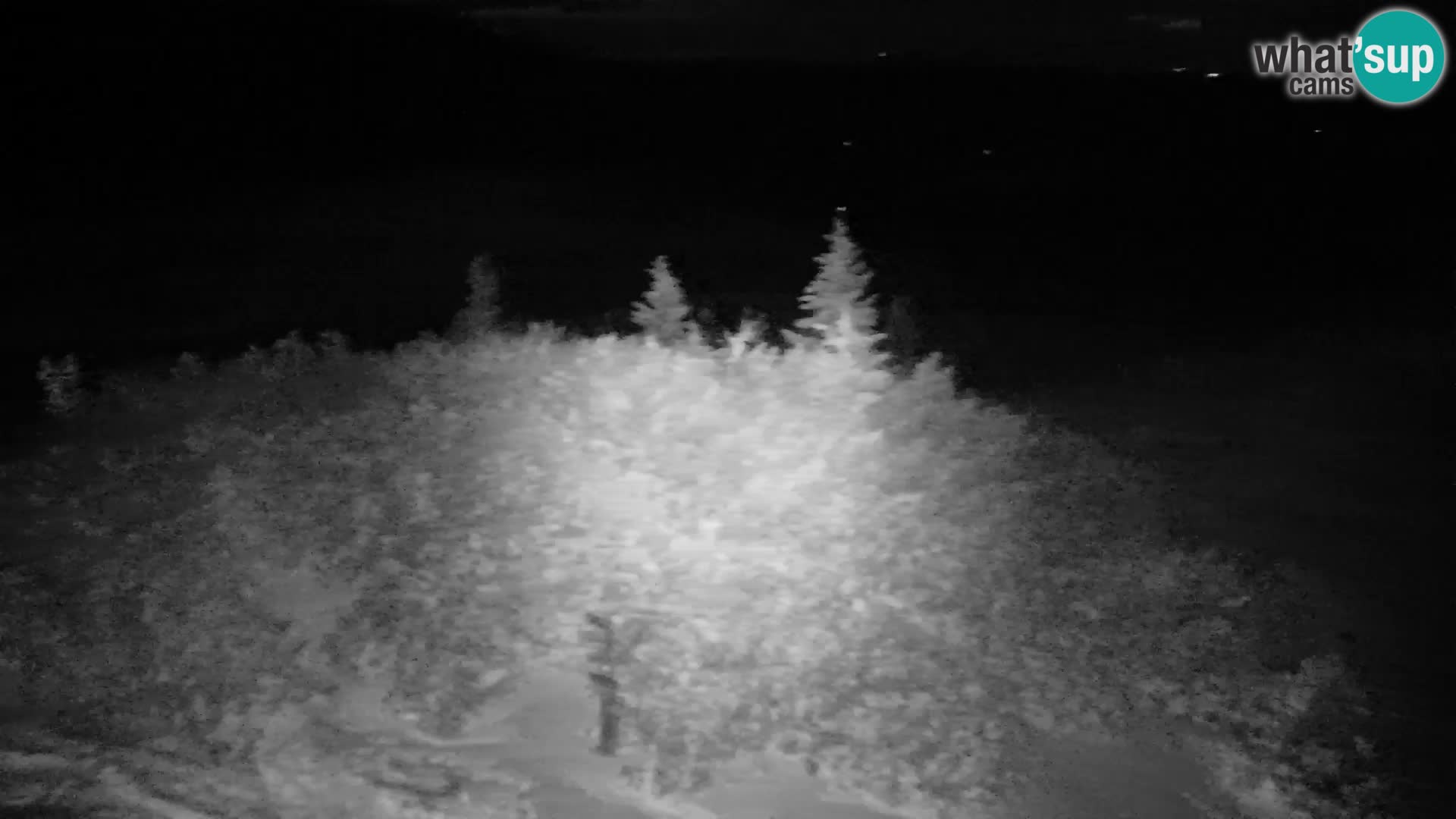 Velika Planina | Gradišče